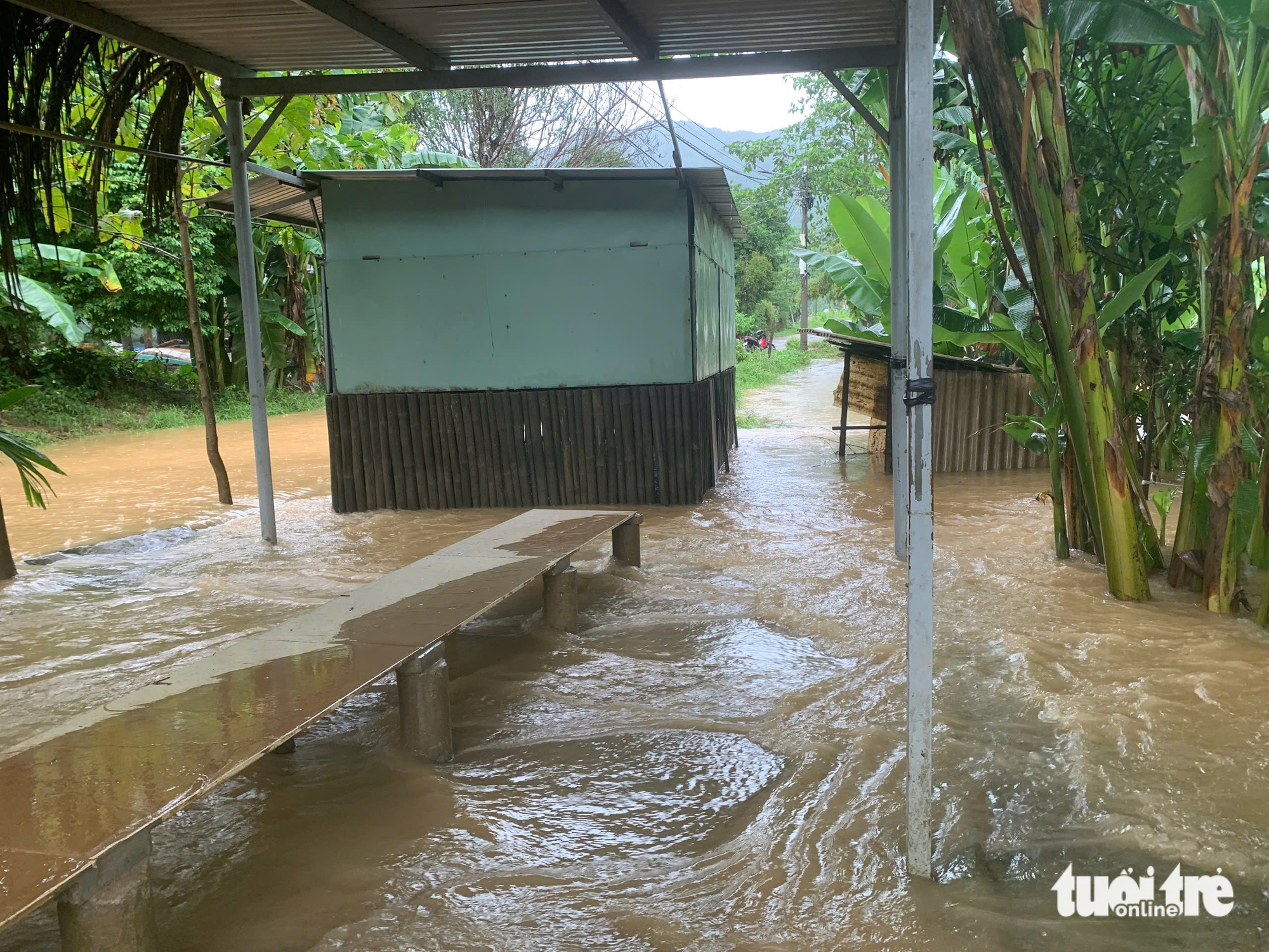 大雨导致岘港山区洪水泛滥，泥石流冲上道路