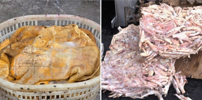 超过25吨鱿鱼和鸡脚因发臭被销毁