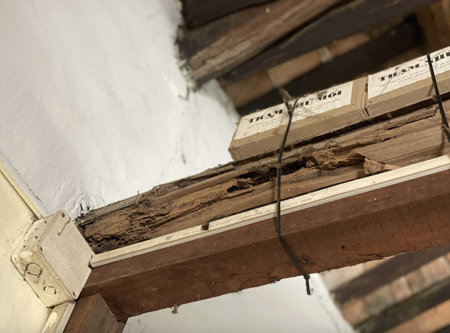 会安30座古屋在13号台风后受损，岘港市人民委员会主席要求制定处理方案