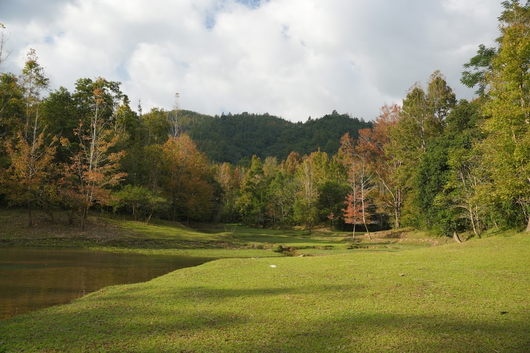 广治西部枫香叶换季的魅力