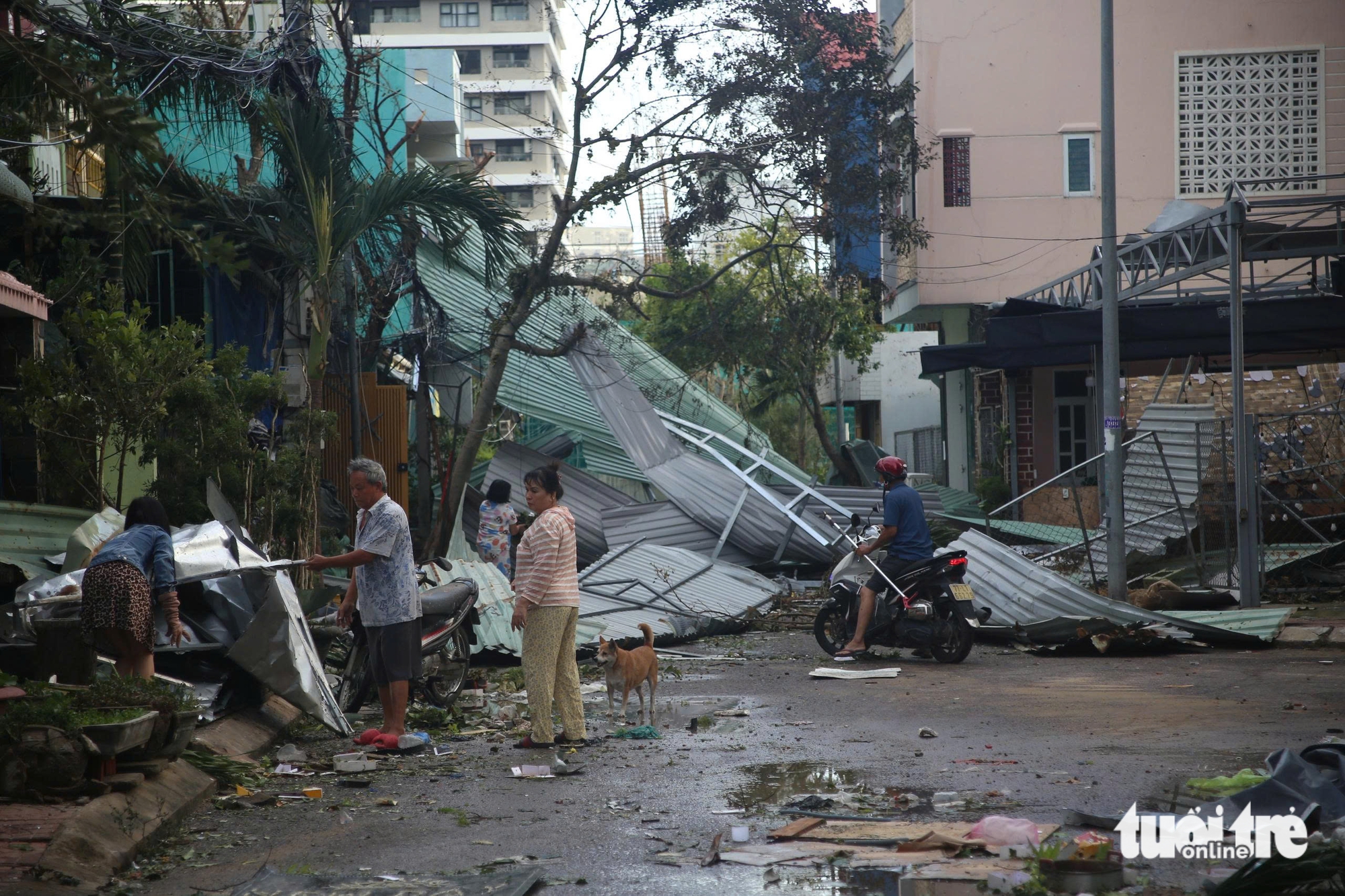 卡马尔吉台风过后，归仁许多地方一片狼藉，树木和电线杆横七竖八
