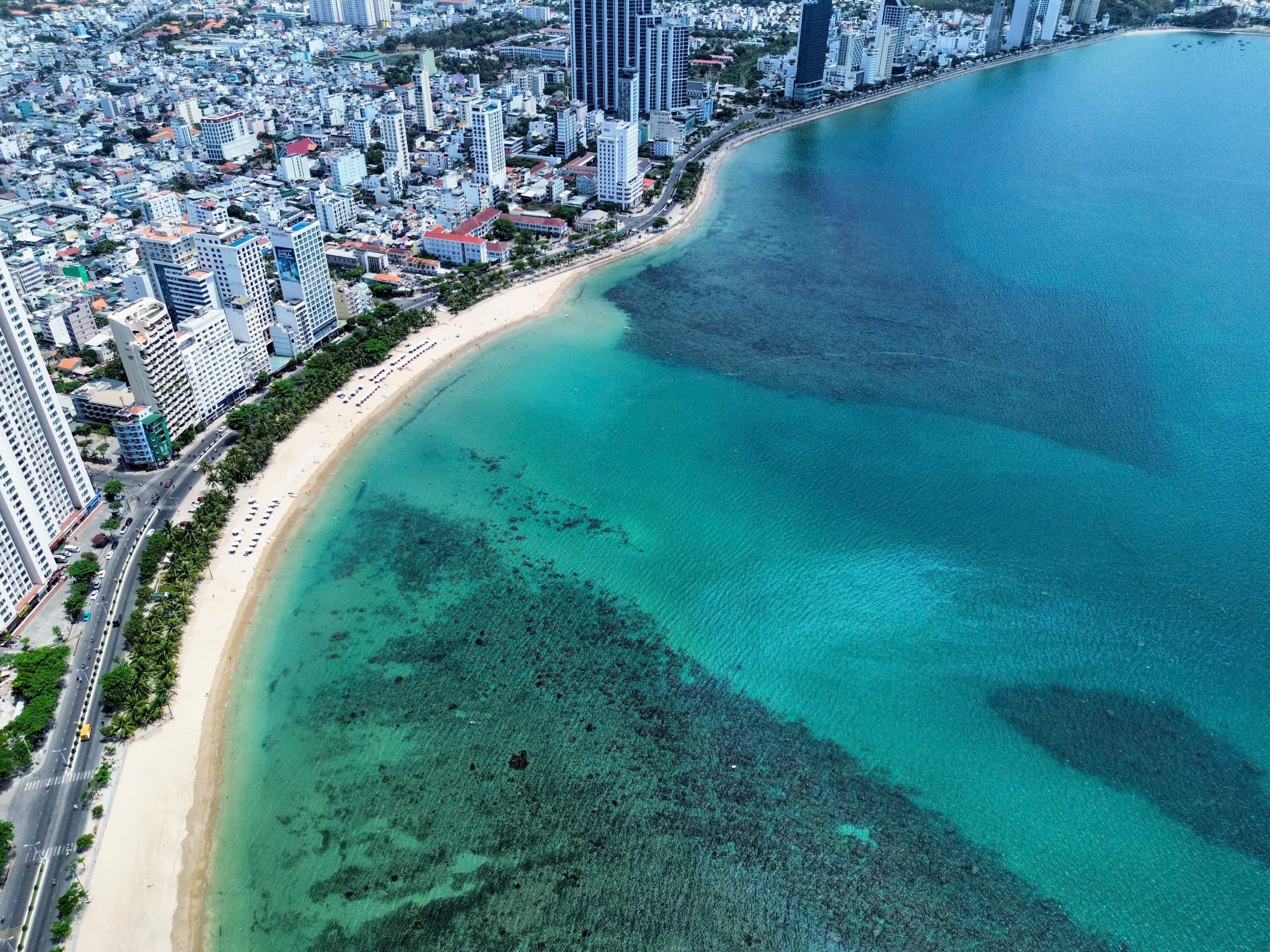 庆和省加强保护靠近居民游泳区的珊瑚礁