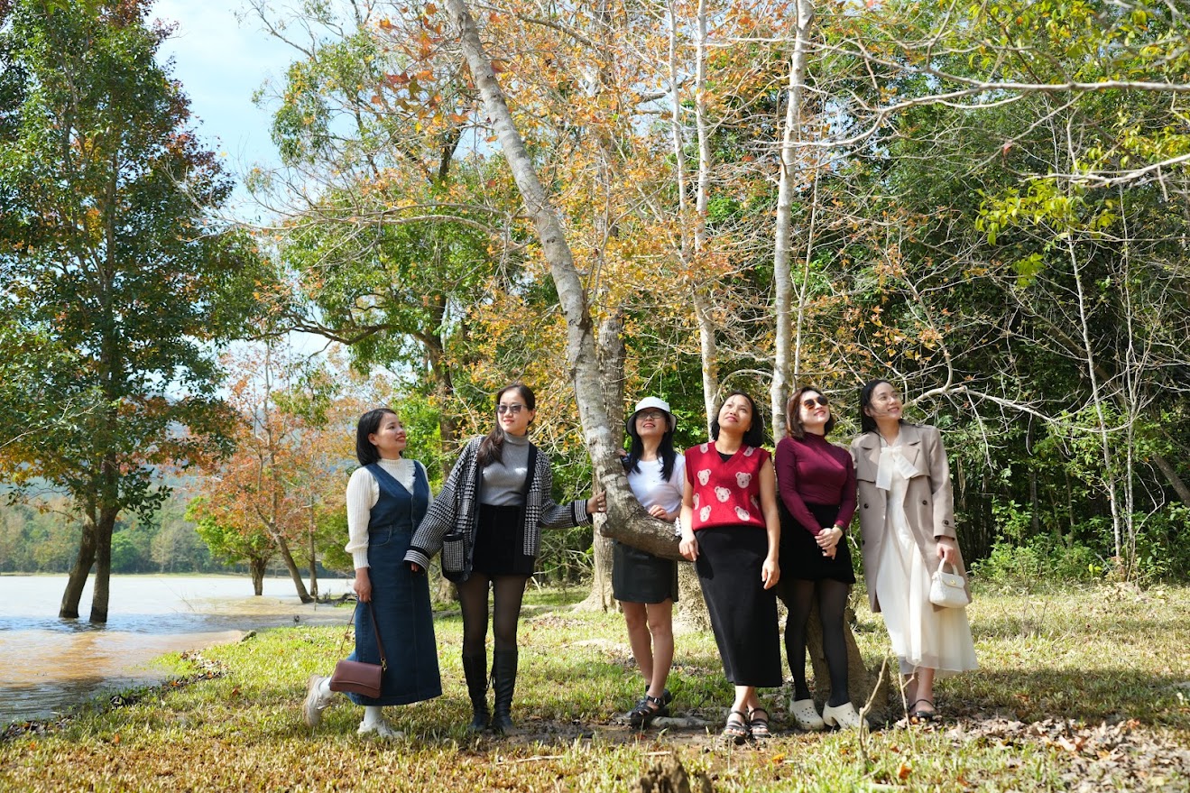 广治西部枫香叶换季的魅力