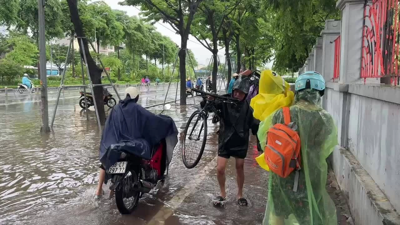 河内街道洪水中出现人摔倒、树木倒塌、浮船