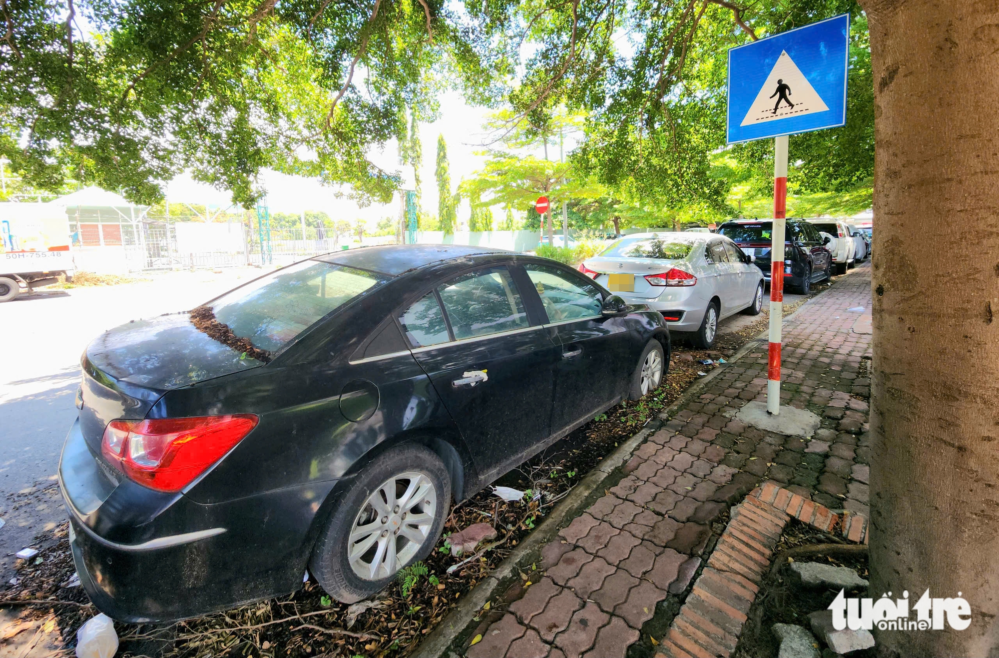 汽车在平盛区路边埋轮，树上长满车窗