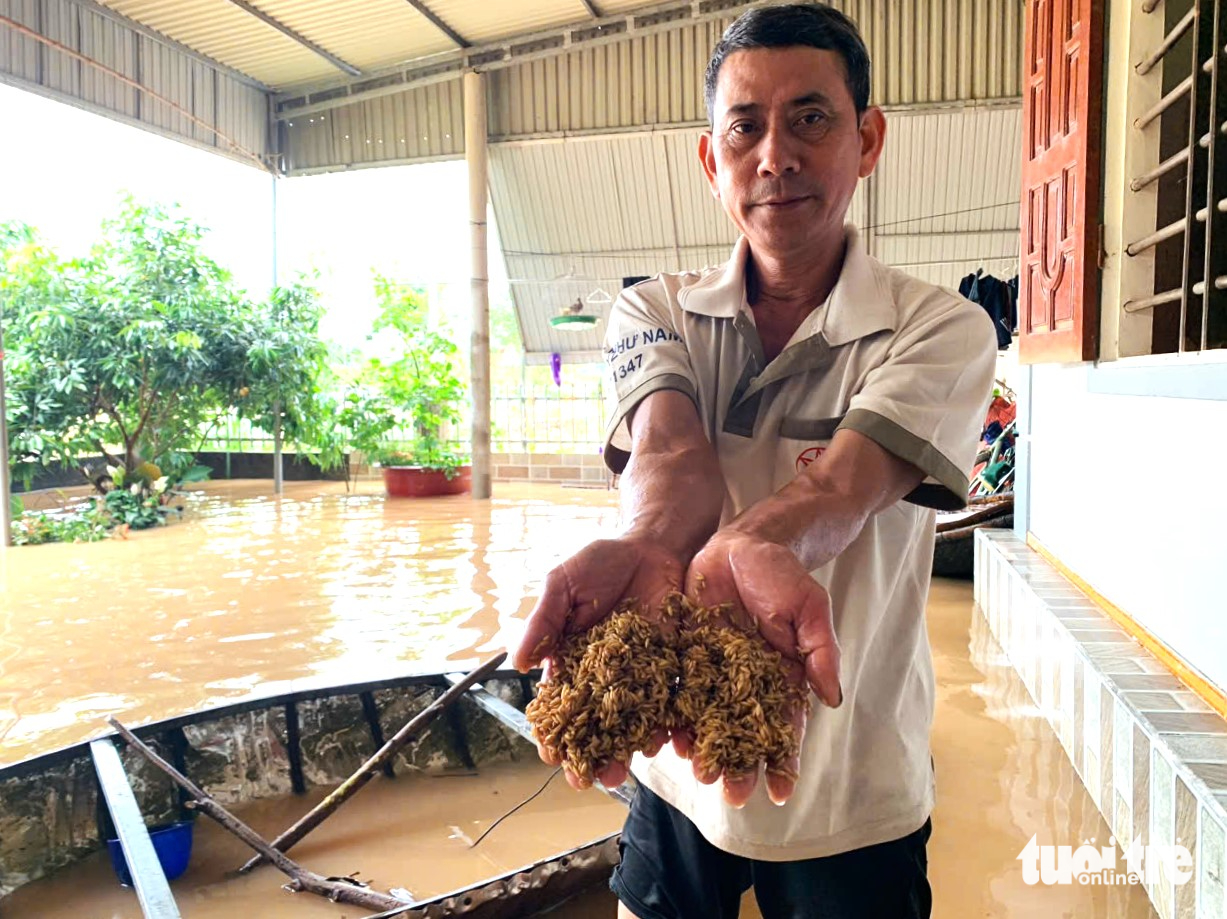 走进河静的一个'洪水中心'，整个村庄深陷水中，财产损失严重