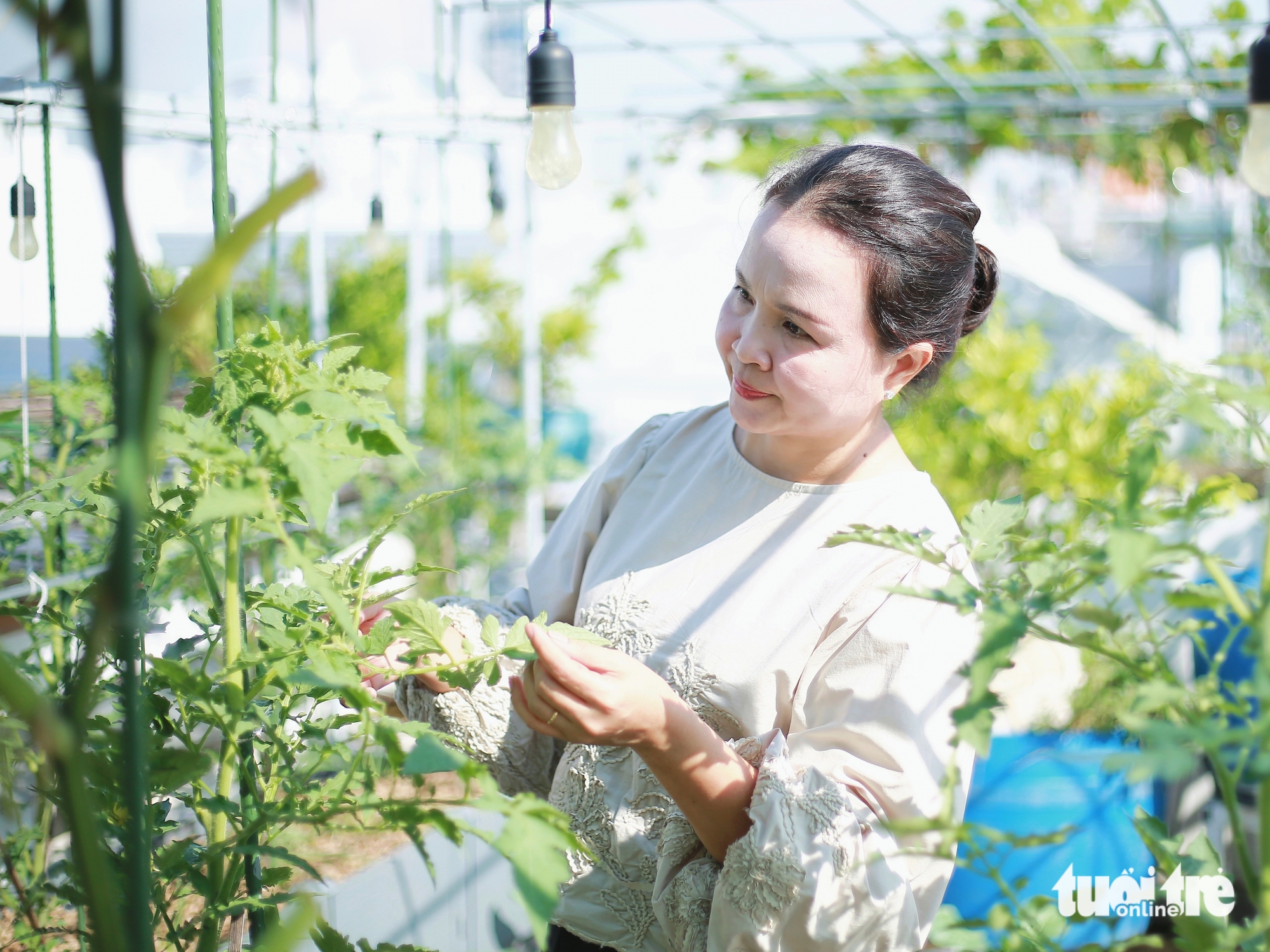 妈妈在屋顶种满南瓜架作为中秋节和万圣节礼物送给孩子