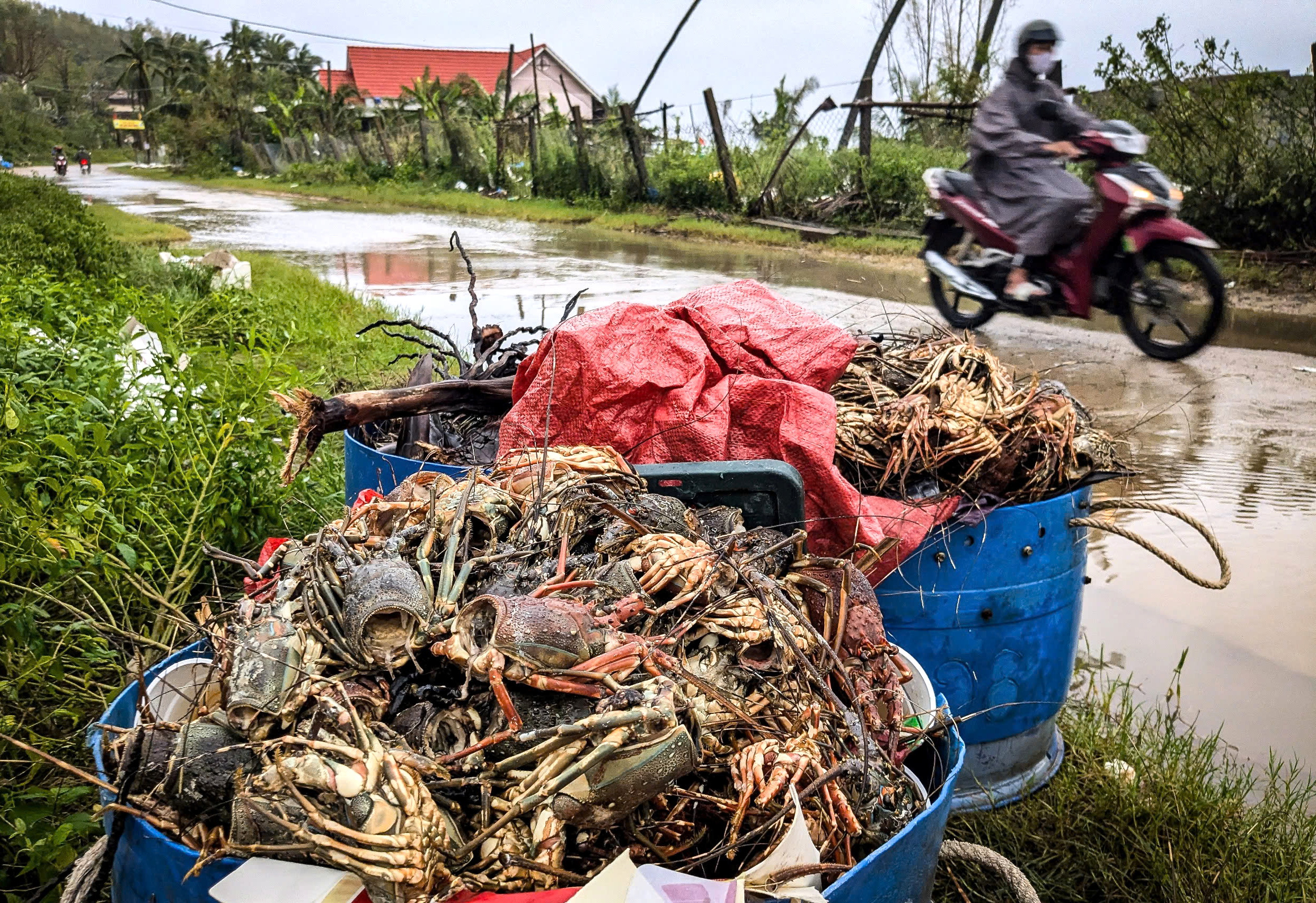 帮助洪水灾区人民重建生产