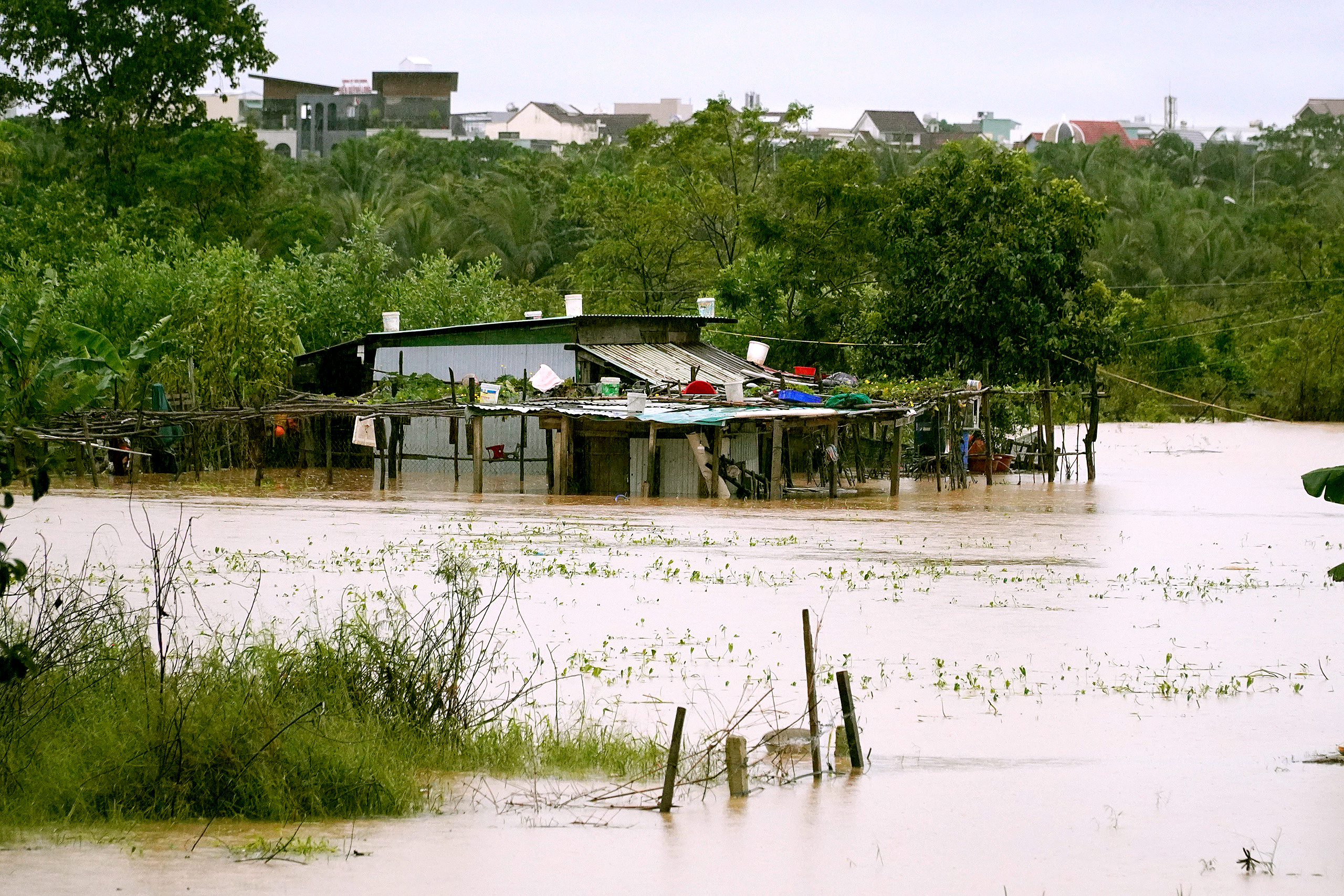 岘港拨款2100亿越南盾用于72个乡、坊以修复自然灾害后果