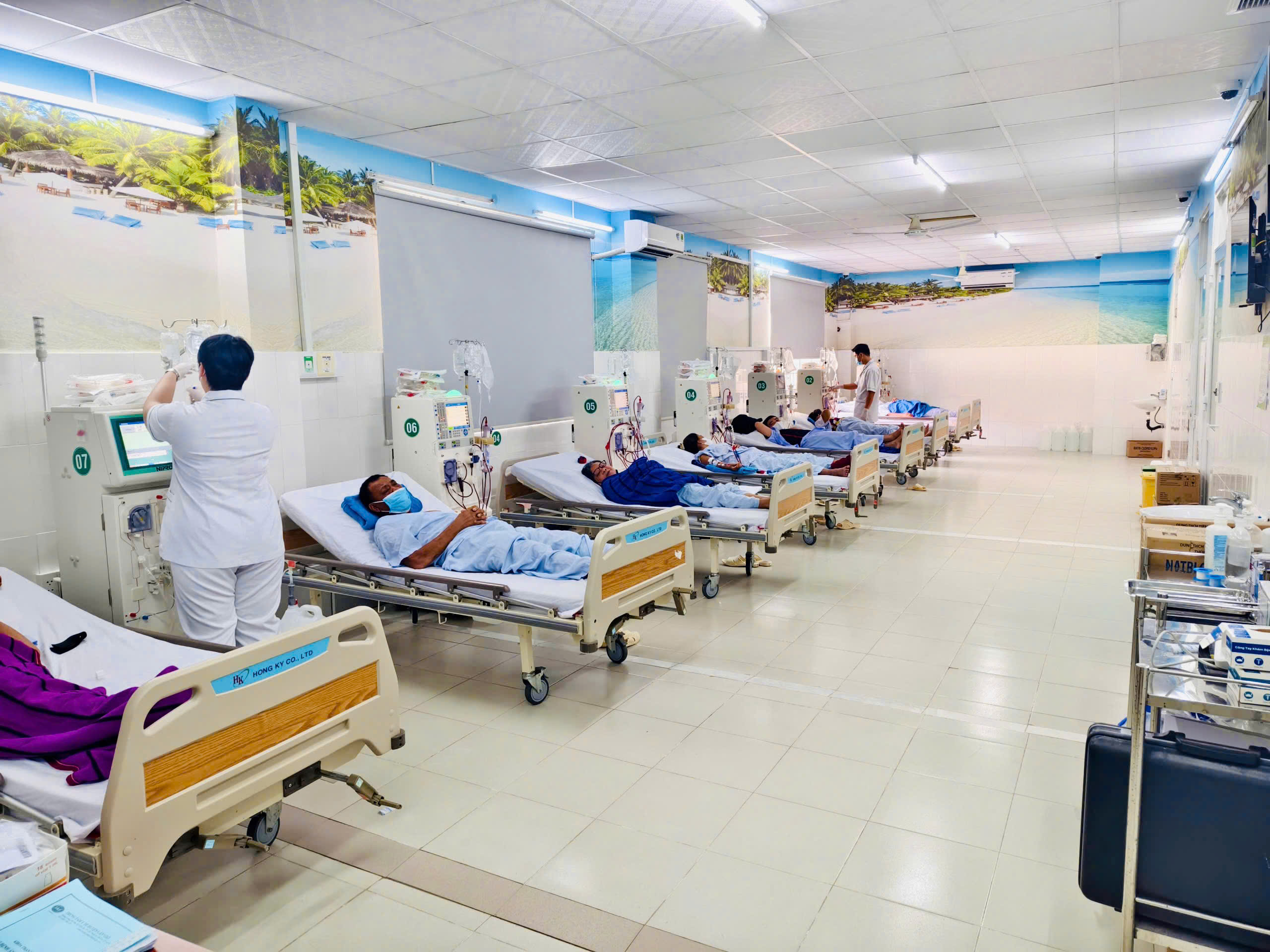 11月8日早间新闻：审查芹耶慈裕医院2号；胡志明市一周内手足口病病例达1100例