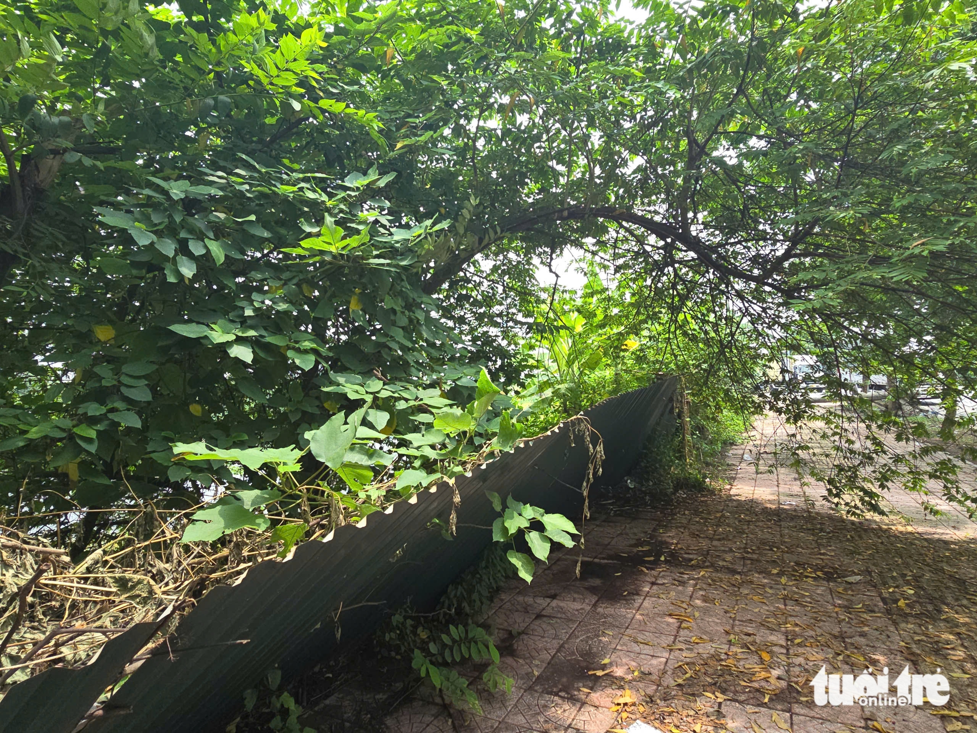 河内两个价值数千亿的干港项目近十年荒废的近景