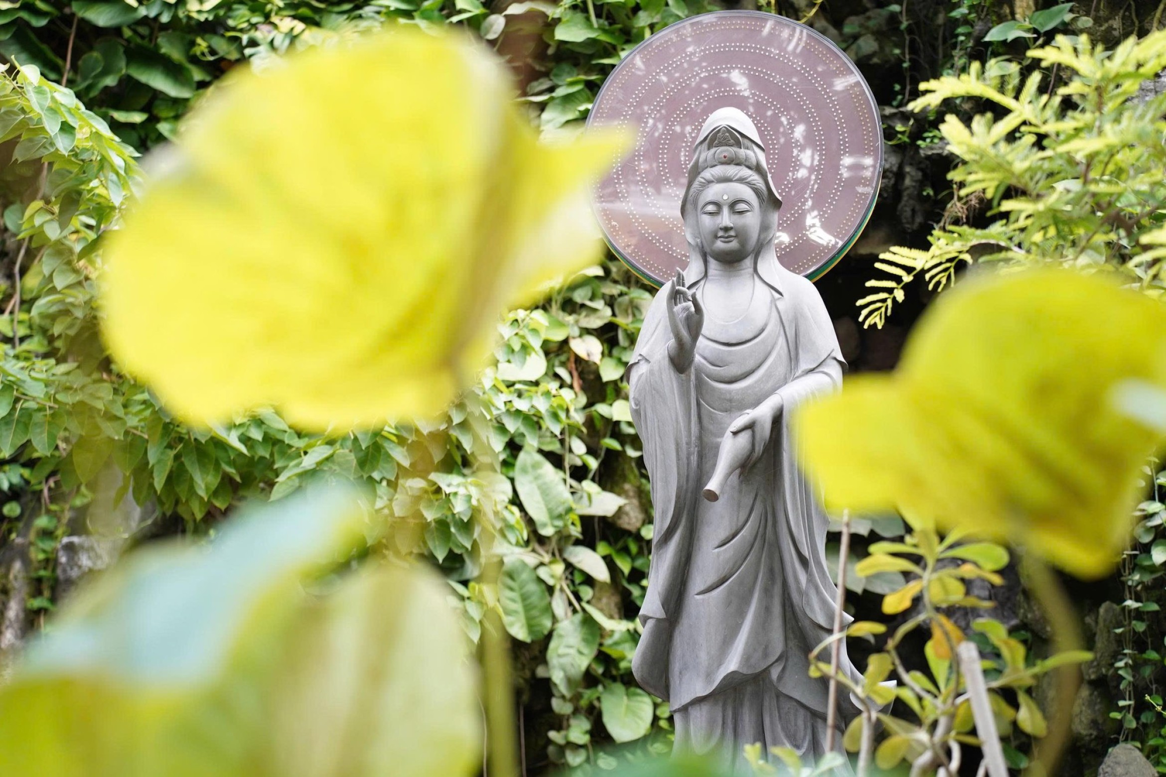 胡志明市灵性旅游线路的潜力