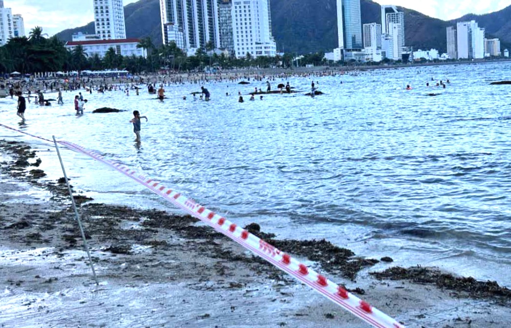 芽庄拉线分区海岸以保护珊瑚礁