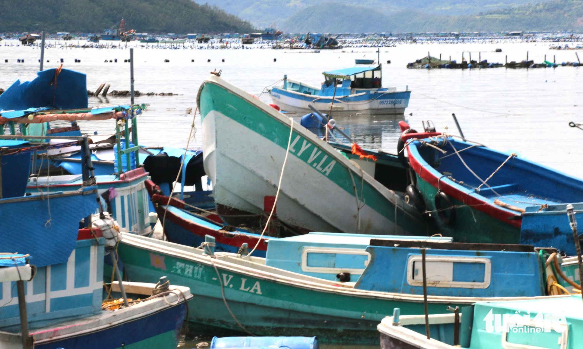 心痛数十艘渔船在台风Kalmaegi后破碎的场景