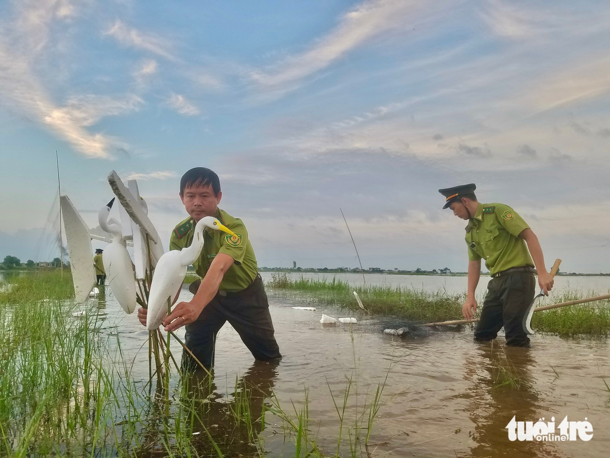 鸟类在迁徙路上的悲惨死亡