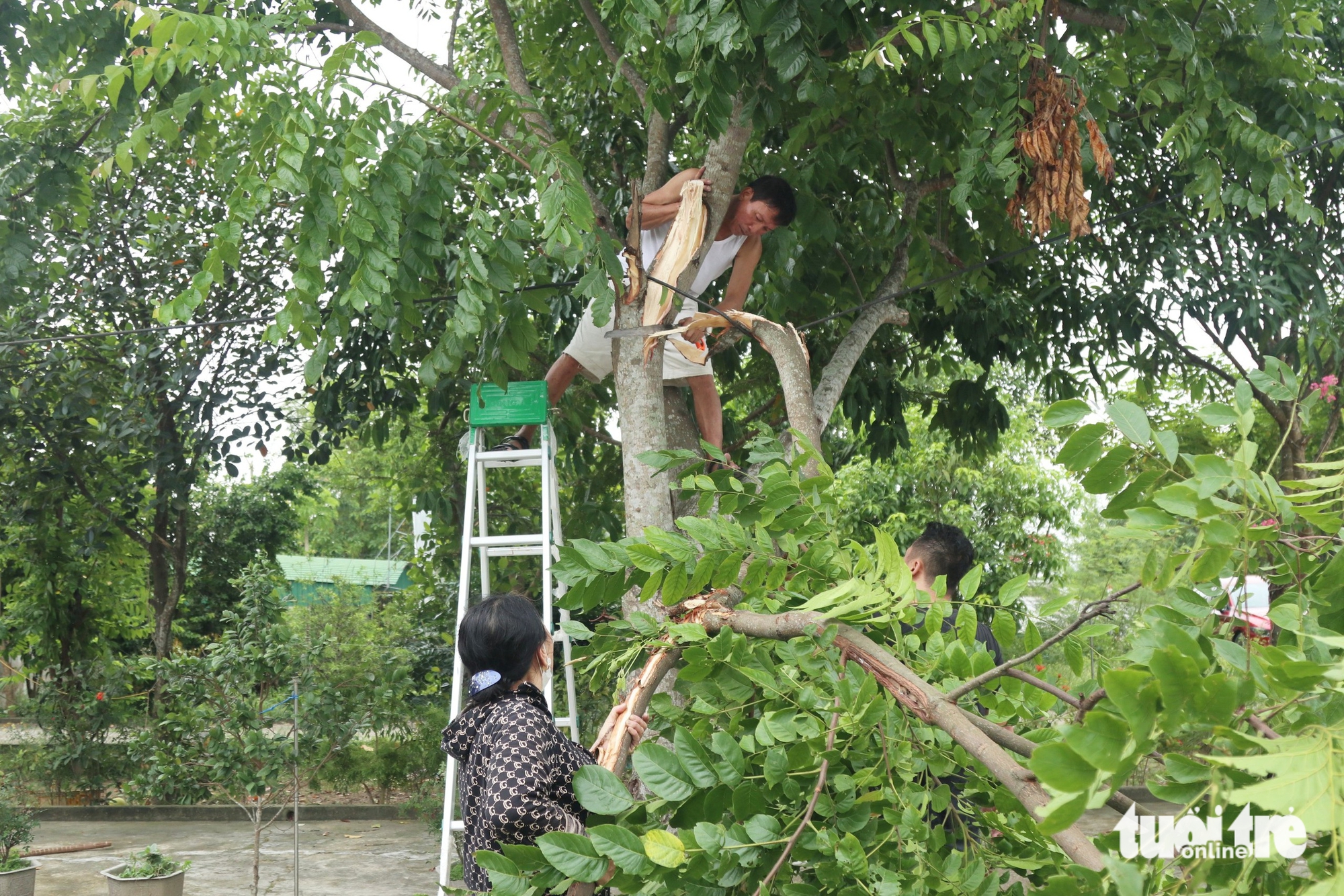 中部地区紧急应对台风，建议居民今晚21点后不要外出