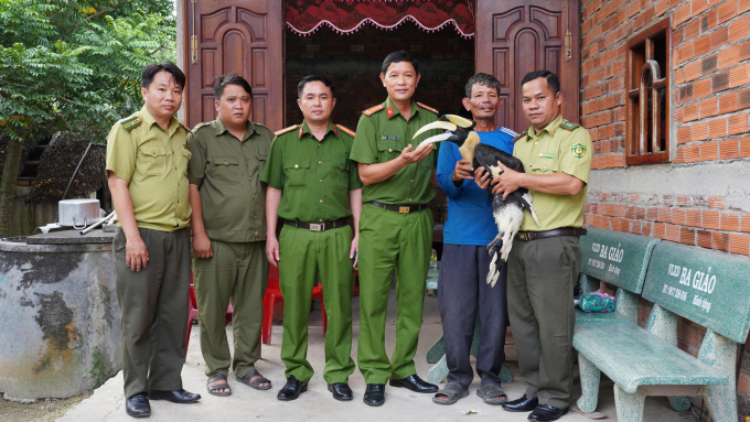 稀有犀鸟误入民宅花园