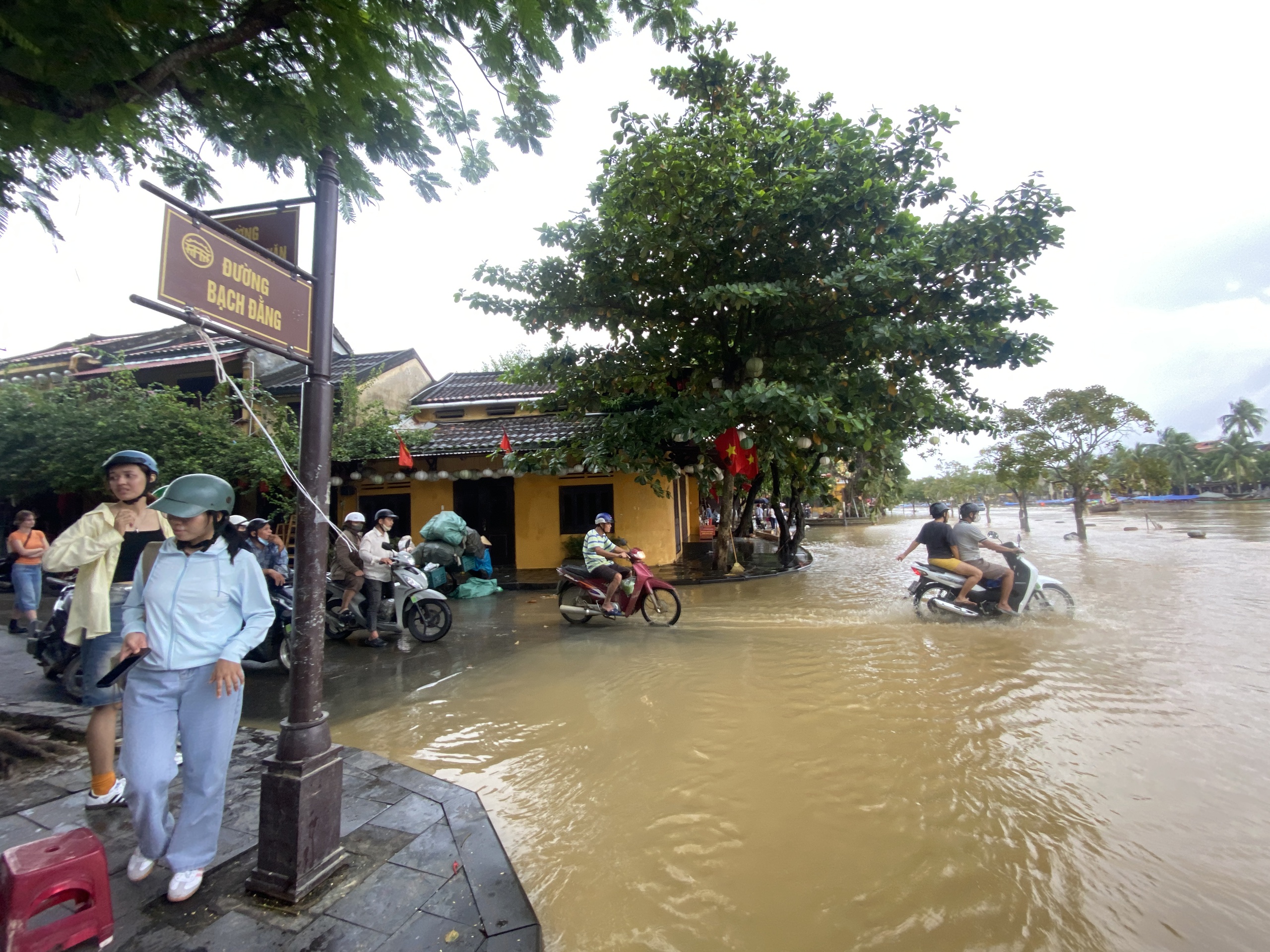 昨天还泥泞不堪，今天会安古镇已亮灯迎客