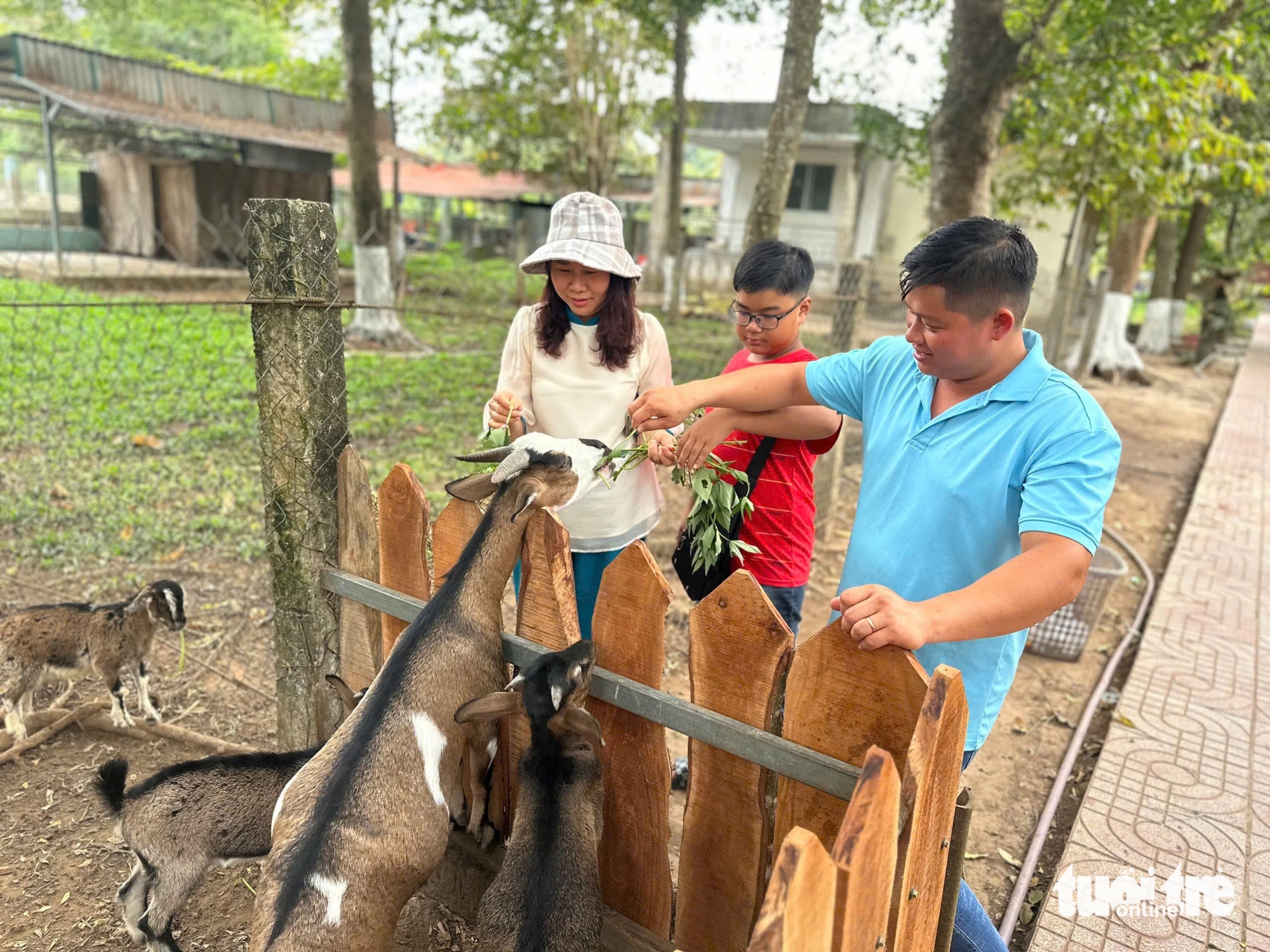 同塔：以质朴和本土体验吸引游客