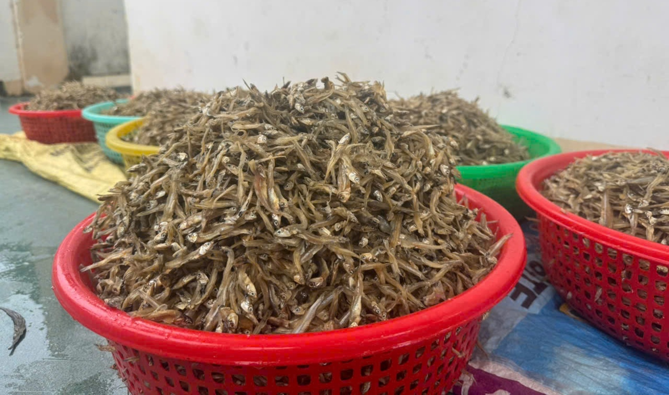 在洪水汹涌之际,广南人仍腌制鱼干送往岘港洪灾区