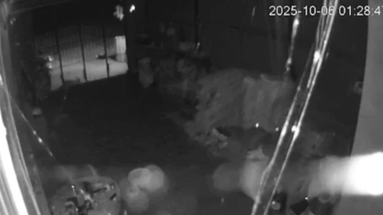 广南省和嘉莱省发生地震，导致物品摇晃