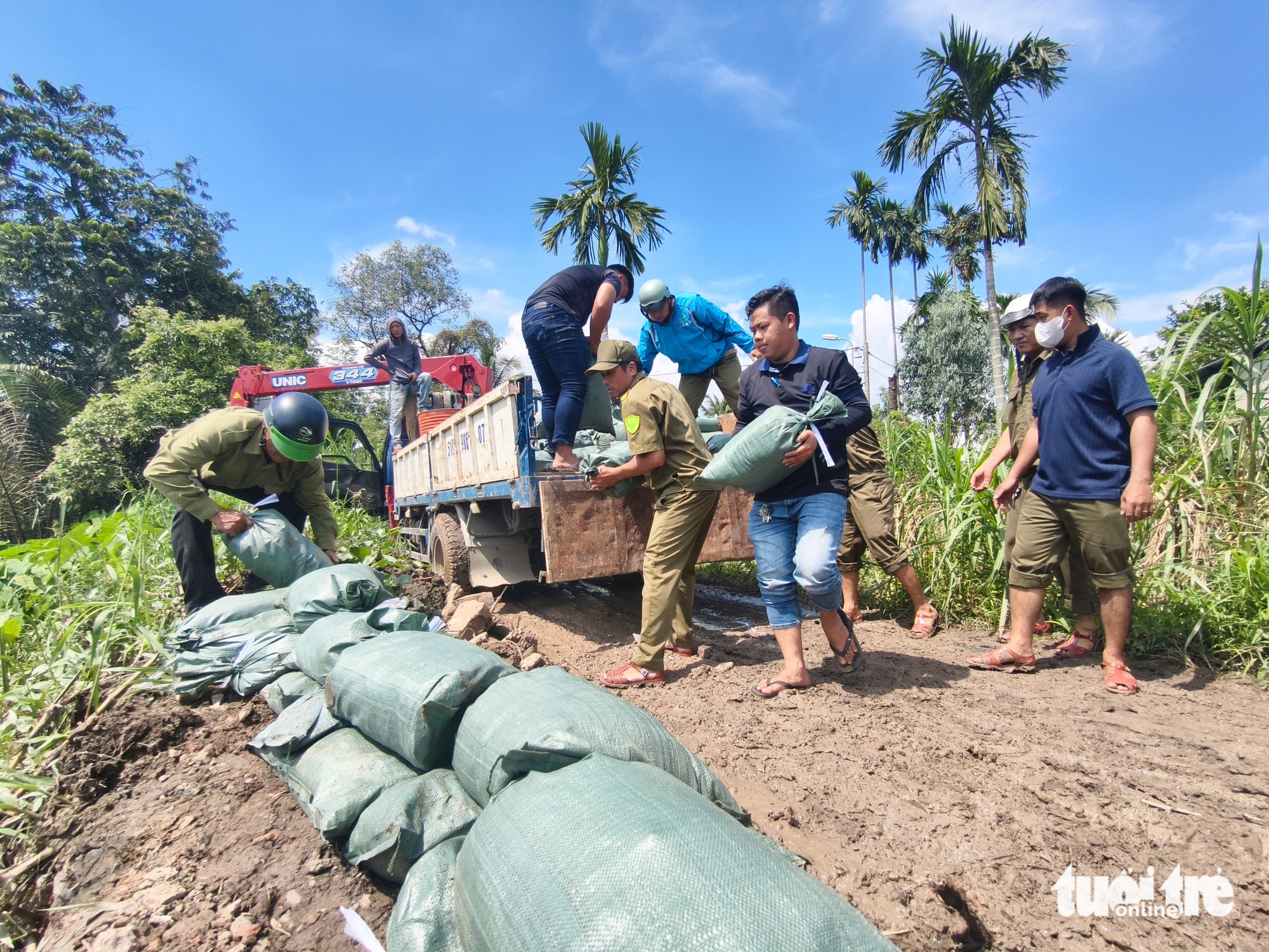 胡志明市东盛乡紧急加固河岸以应对潮汐