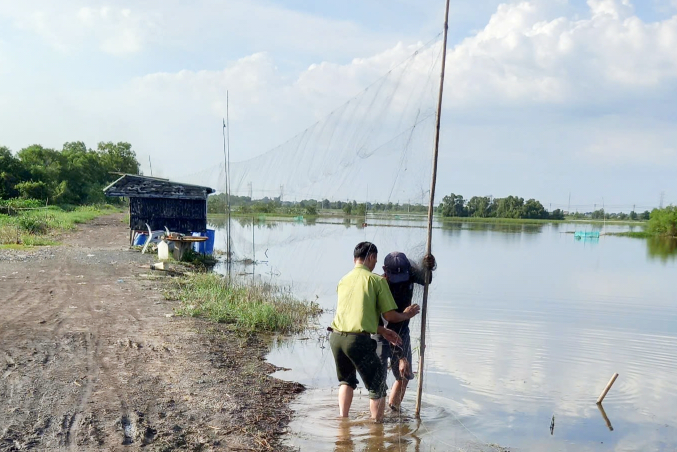 胡志明市林业局在古芝县新海坊义城乡拆除650米捕鸟网