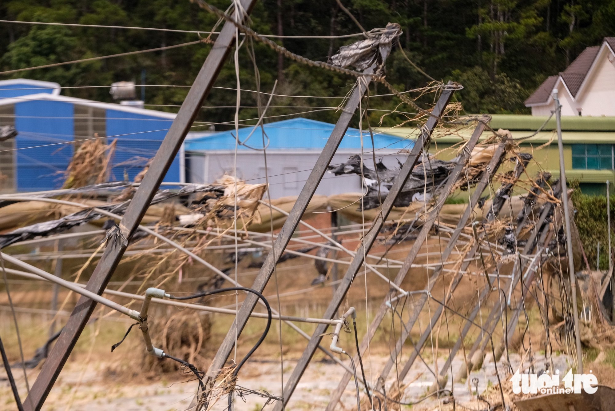 林同省最大蔬菜区在洪水后一片狼藉的景象令人心痛