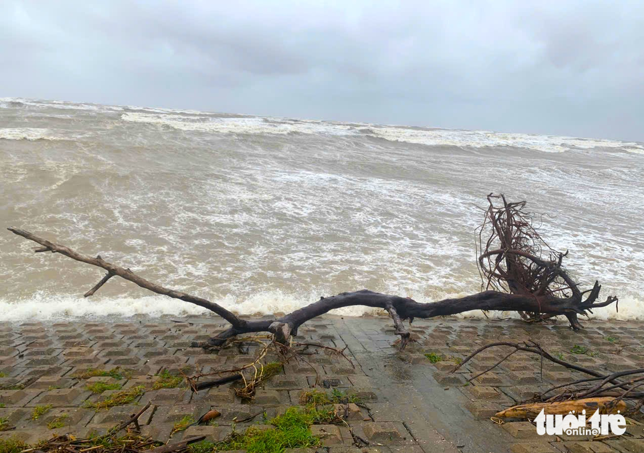 台风Bualoi登陆前海浪汹涌，一些人仍去海边观赏