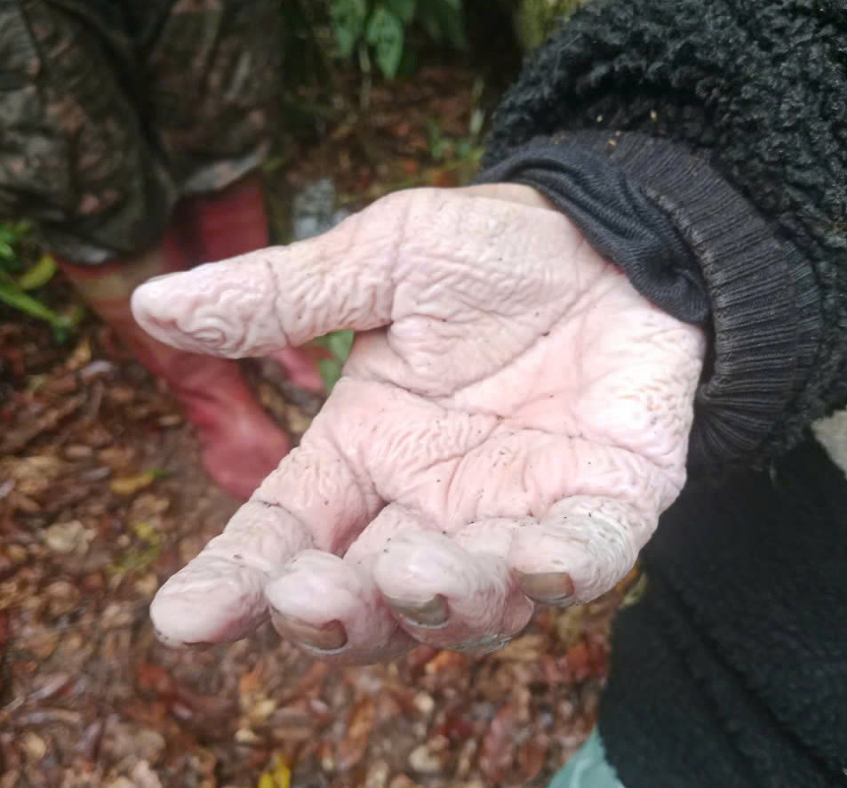 在达拉特深林中迷路7天的78岁老人被找到