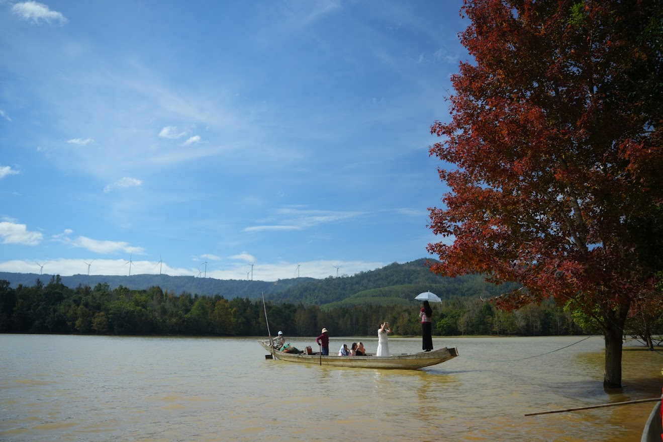 广治西部枫香叶换季的魅力