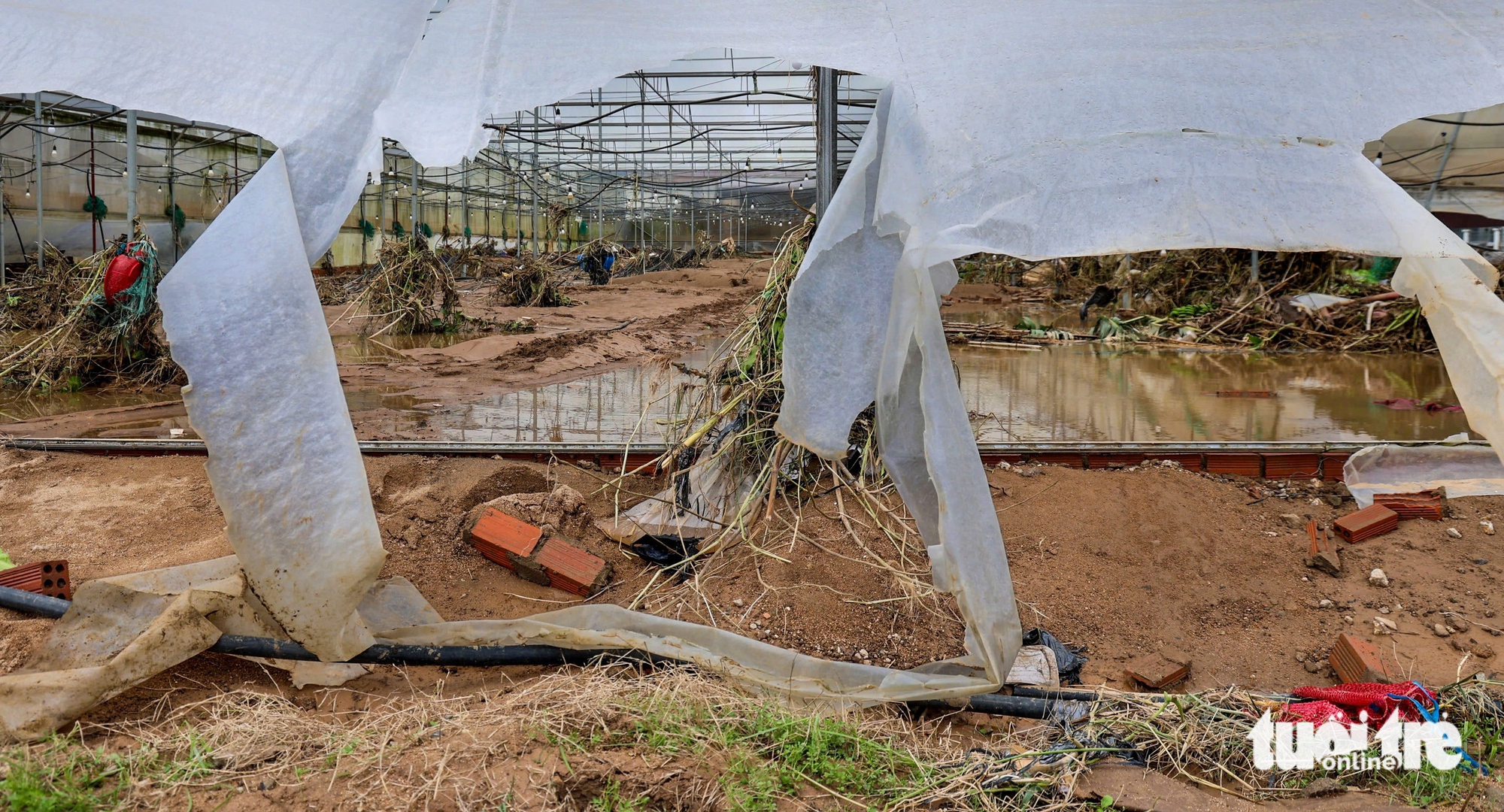 林同省最大蔬菜区在洪水后一片狼藉的景象令人心痛
