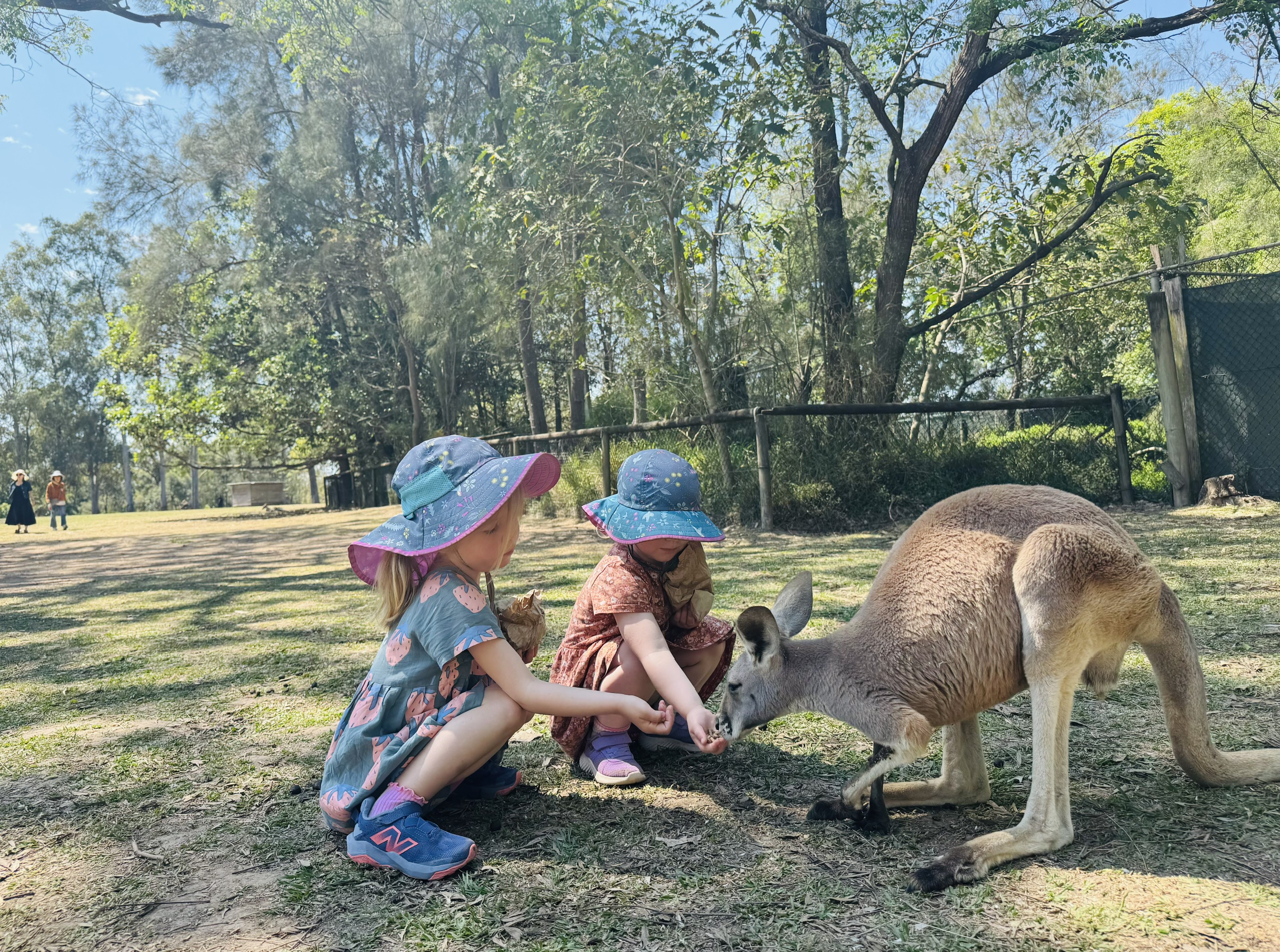 从故事桥到坦加卢马岛：触摸布里斯班心脏的旅程