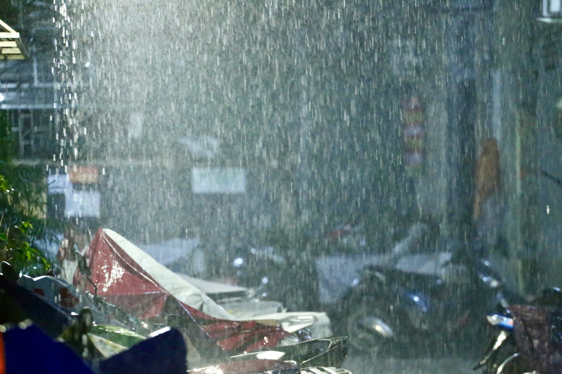河内正在下大雨，警告在奠边、山萝发生山洪、山体滑坡