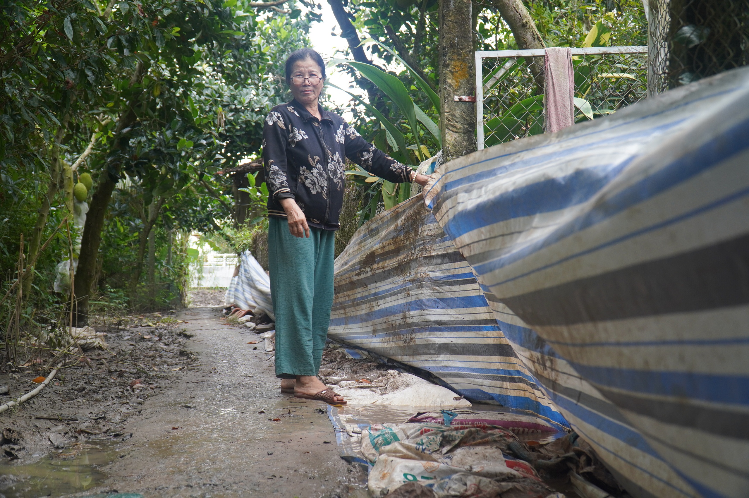 榴莲种植园主花费数十亿建造防潮墙