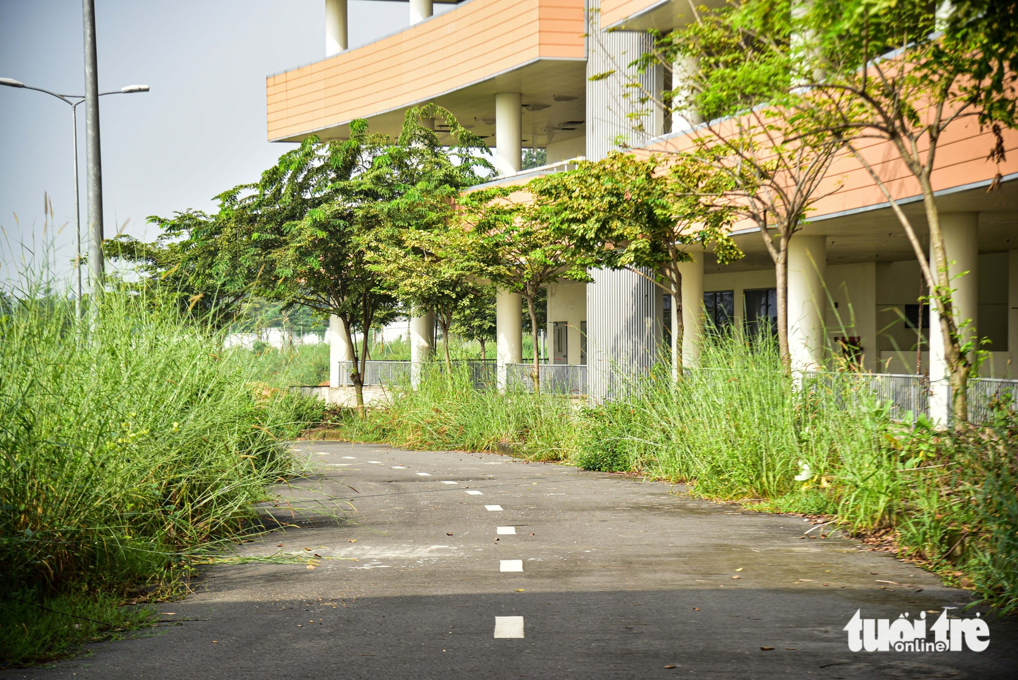 胡志明市4500亿越盾医院开工10年后现状：施工'应付了事'，杂草丛生