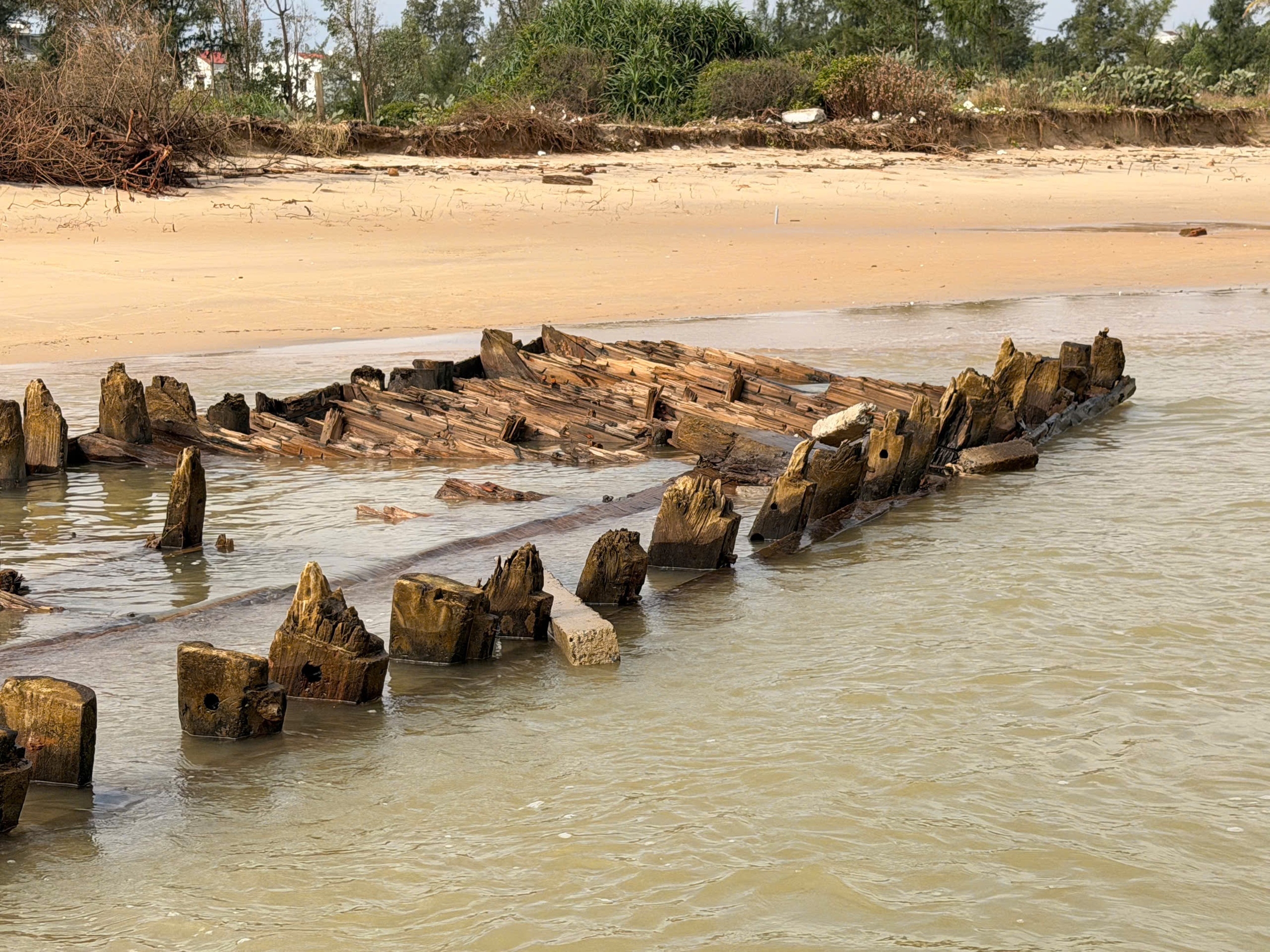 失踪数月后，会安古船在13号台风后完好无损地意外浮出水面