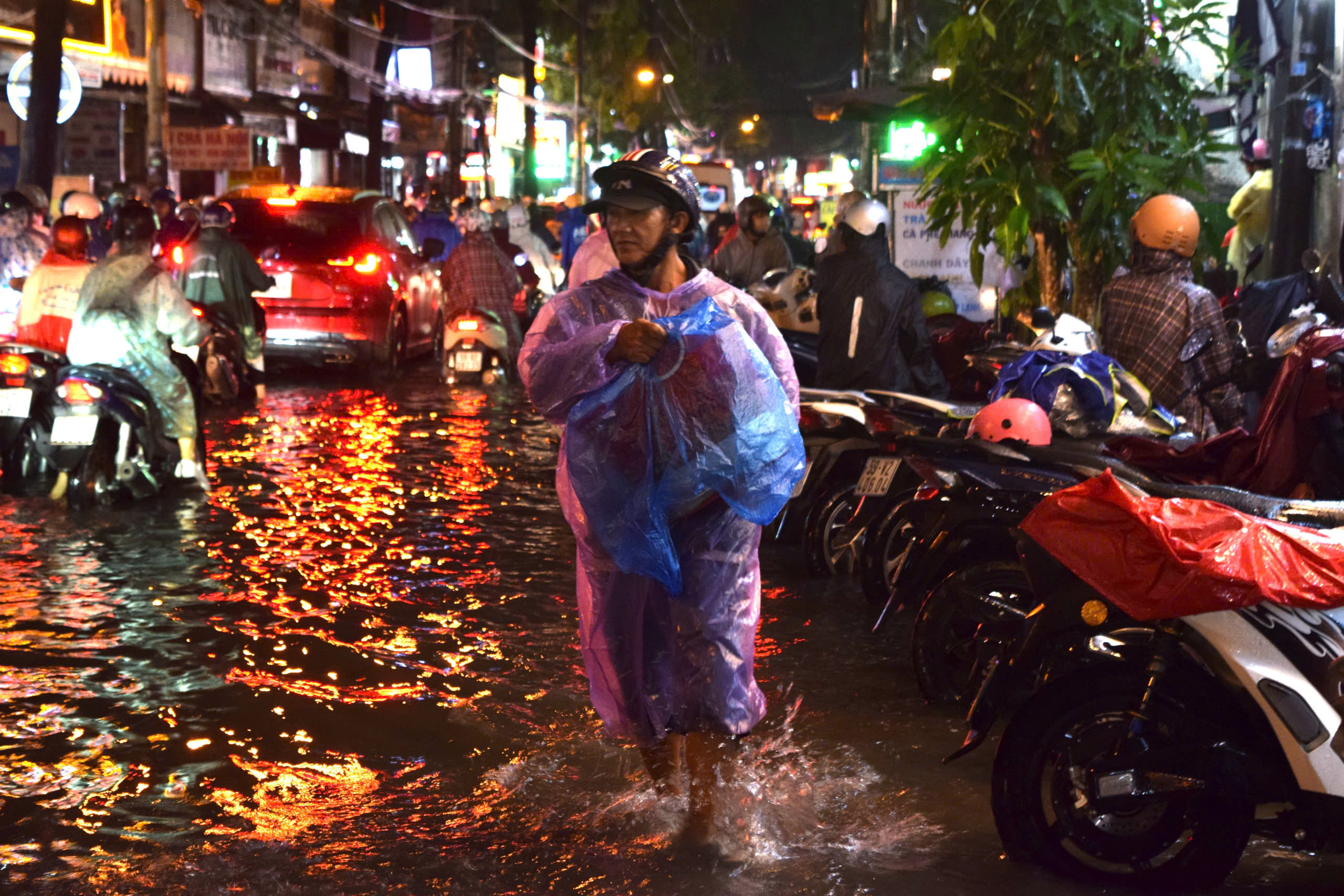 胡志明市下班高峰时段降雨超过160毫米，树木倒塌