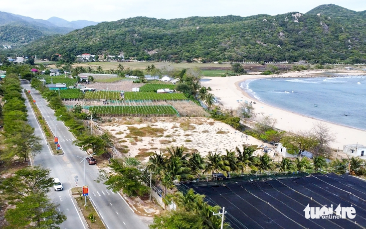 12月5日上午新闻：尚未处理9000个多余办公场所；客户欠银行数百两黄金未还