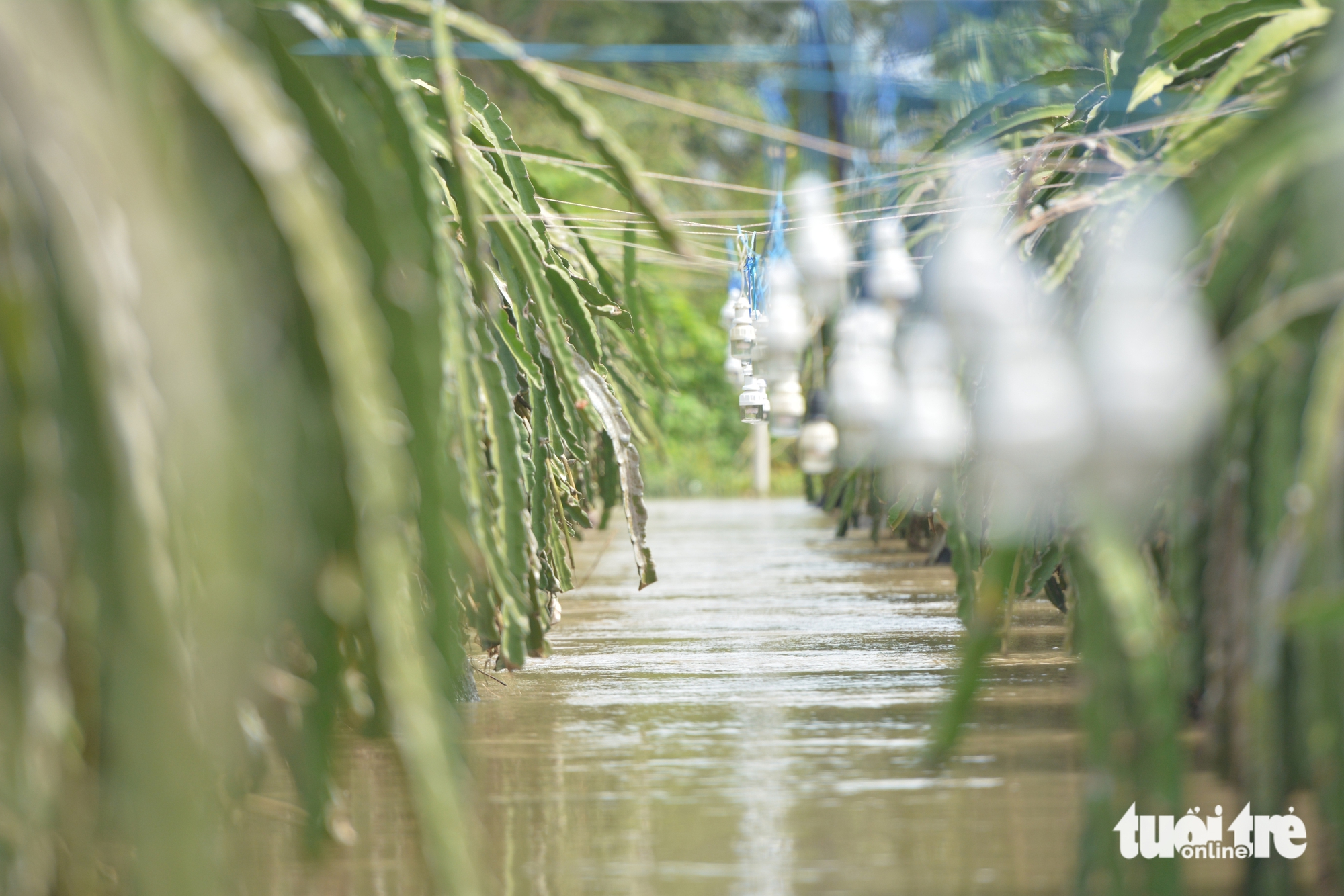 平顺省旧区洪水：‘昨晚刚清理完，今早水又涌来淹没房屋’