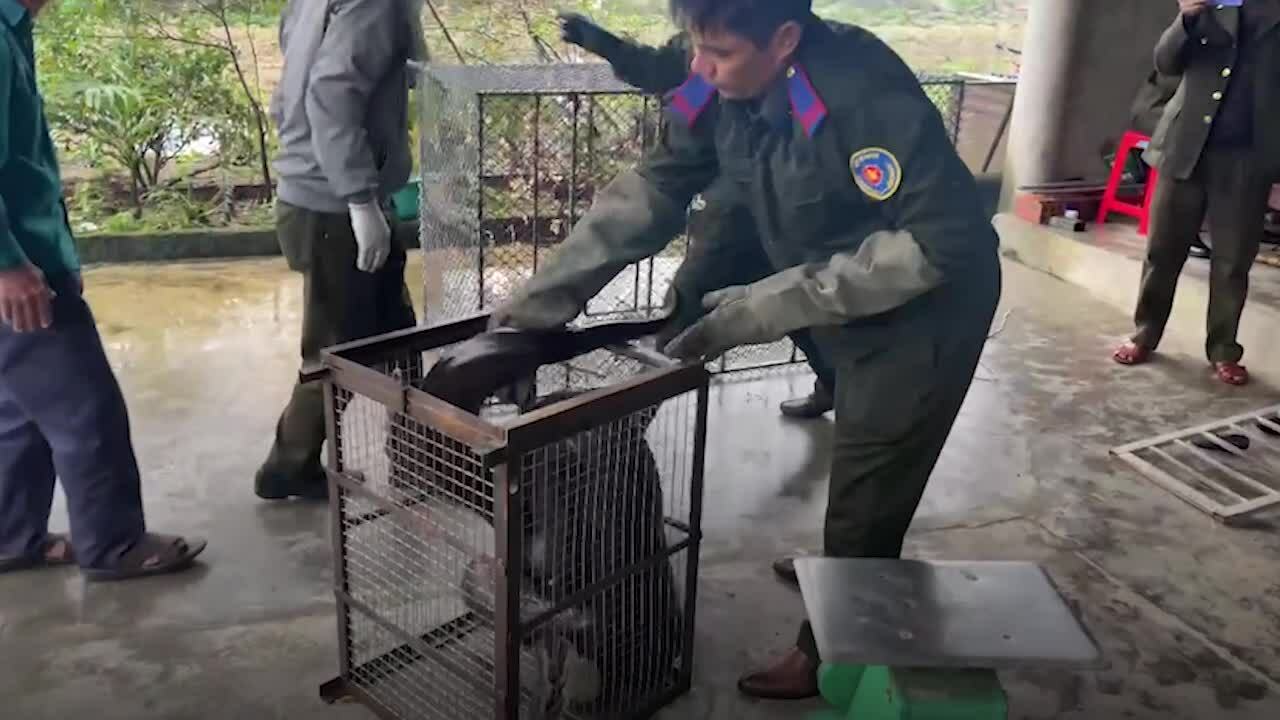 地蟒爬入居民花园