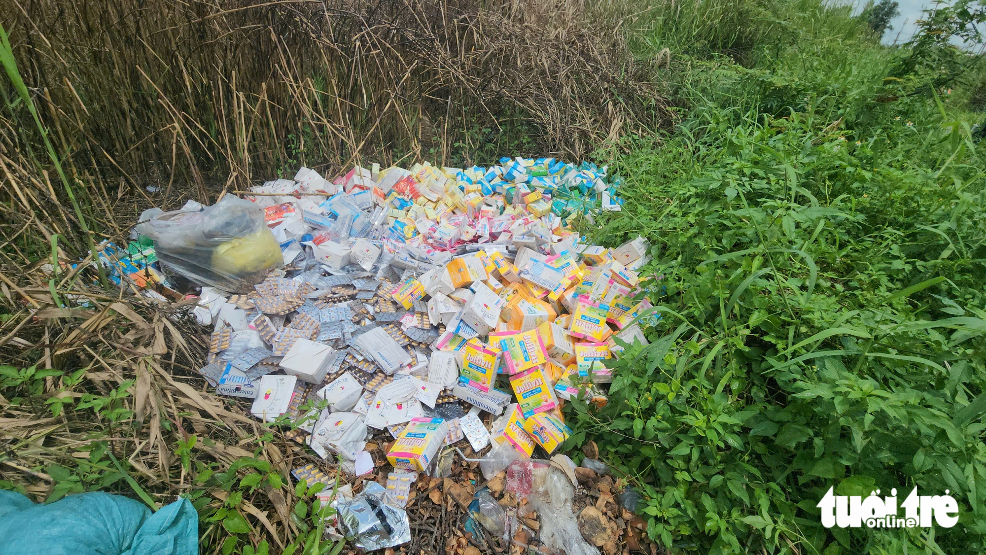 核实数千盒功能性食品在胡志明市郊区堆积