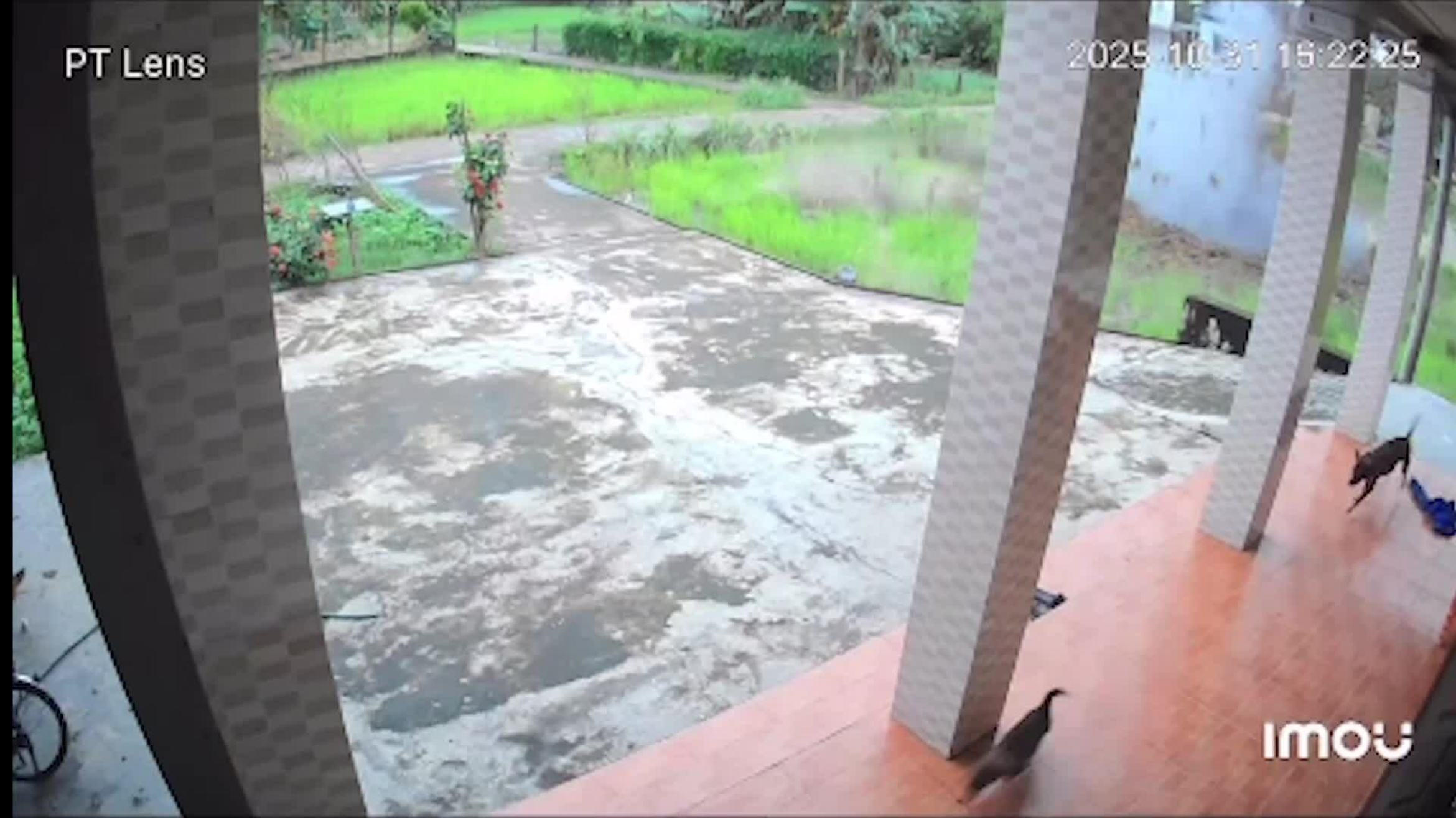 广治省稻田发生爆炸