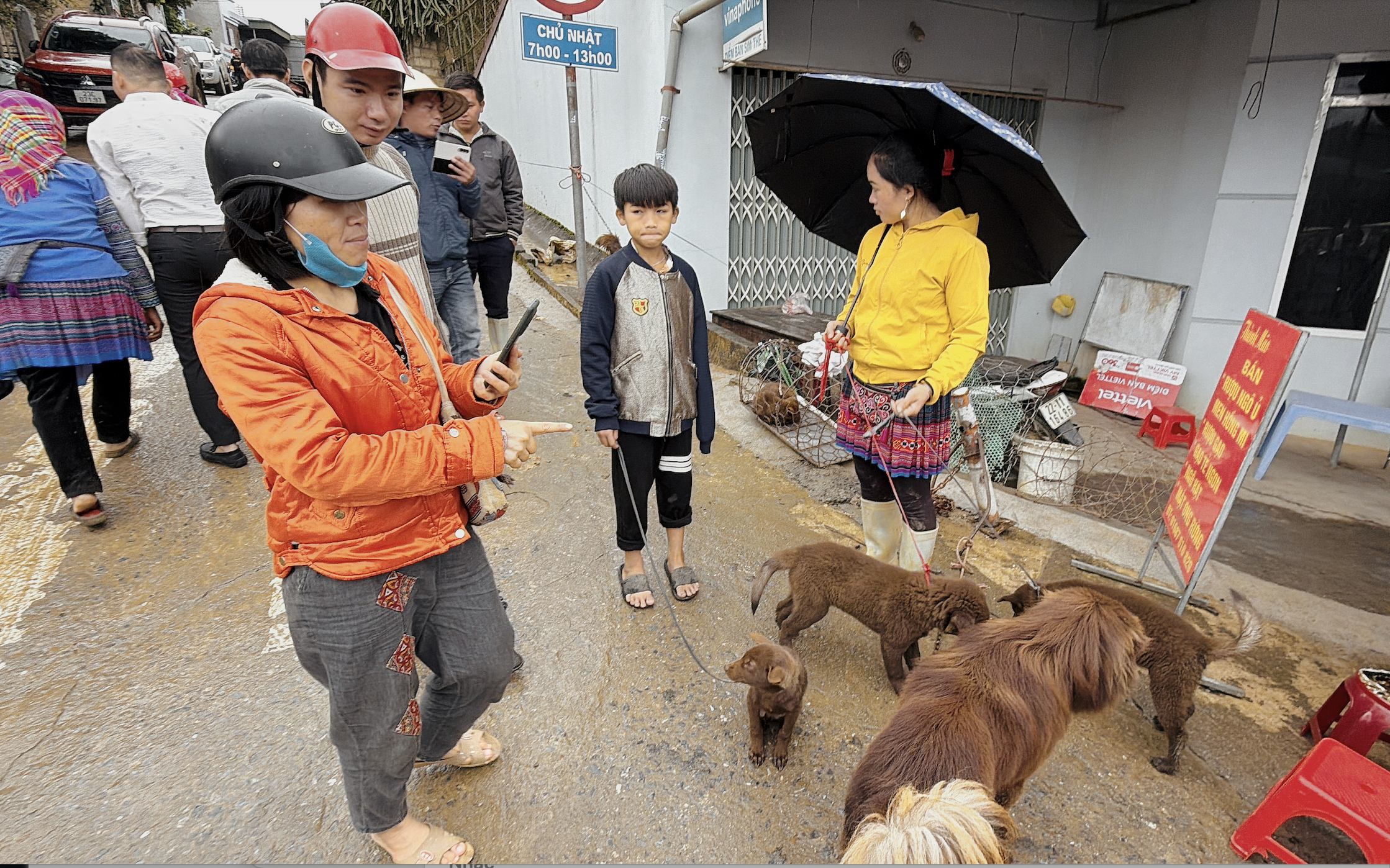北河狗市在寒冷雨中热闹非凡