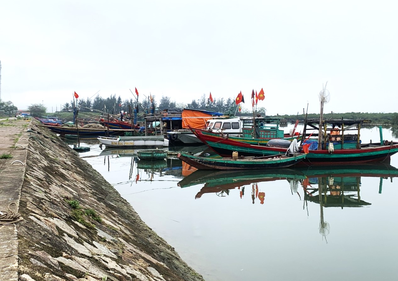 6岁男孩前往船只停泊区后失踪