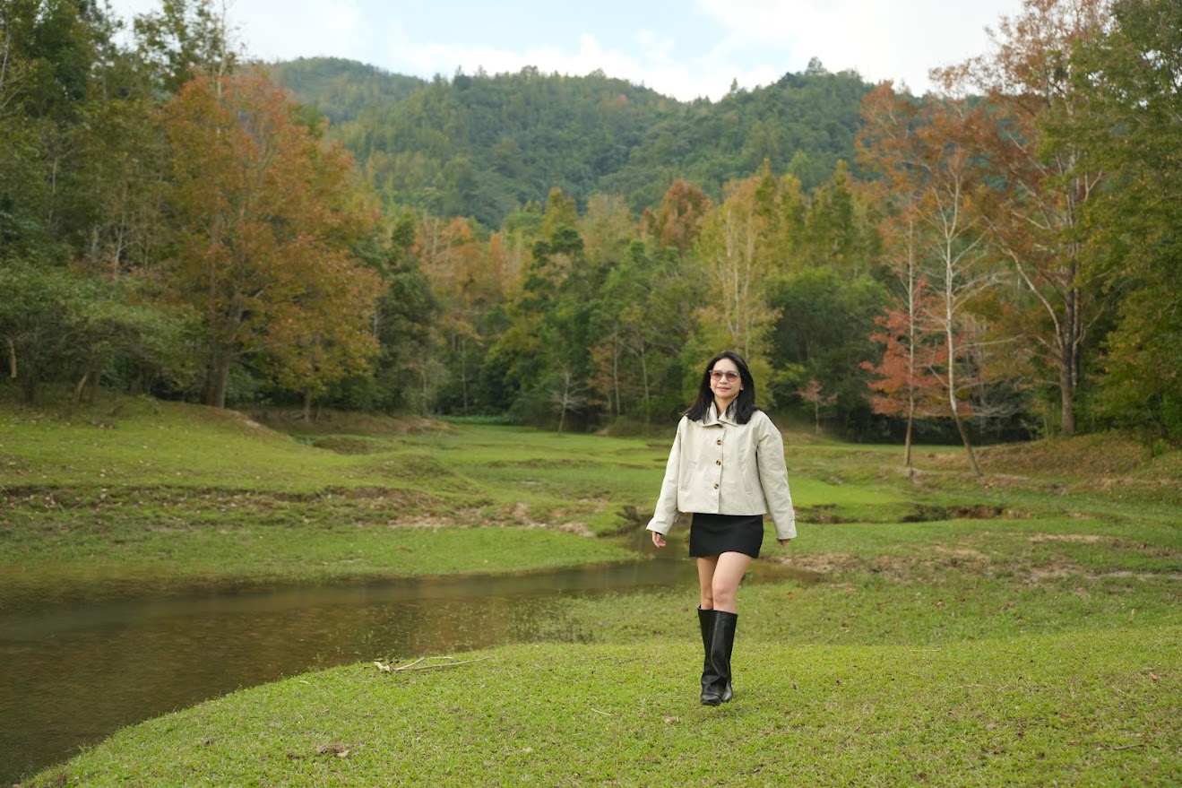 广治西部枫香叶换季的魅力