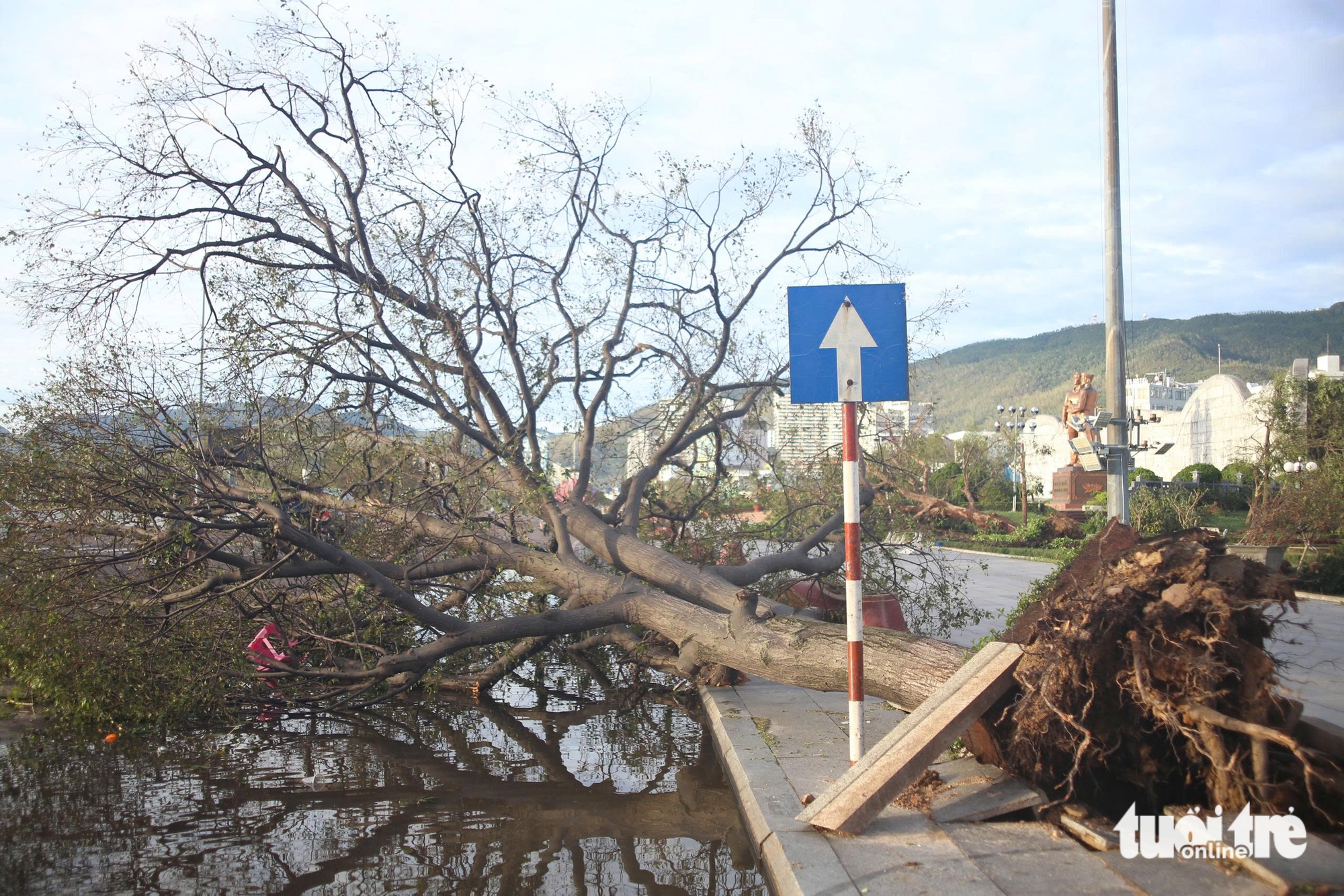 卡马尔吉台风过后，归仁许多地方一片狼藉，树木和电线杆横七竖八