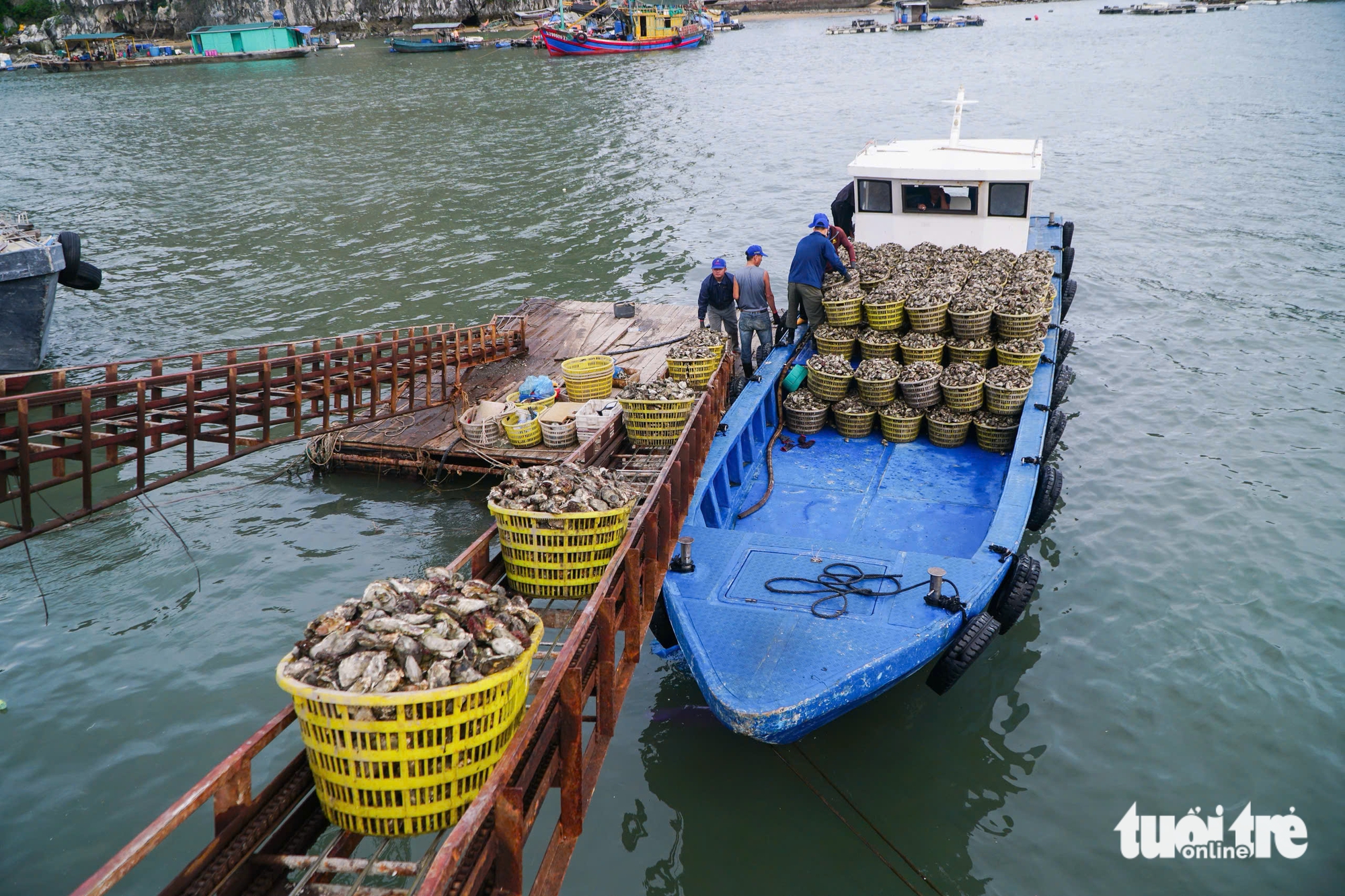 云屯经济特区在拉加萨台风前忙碌，救援力量已准备就绪