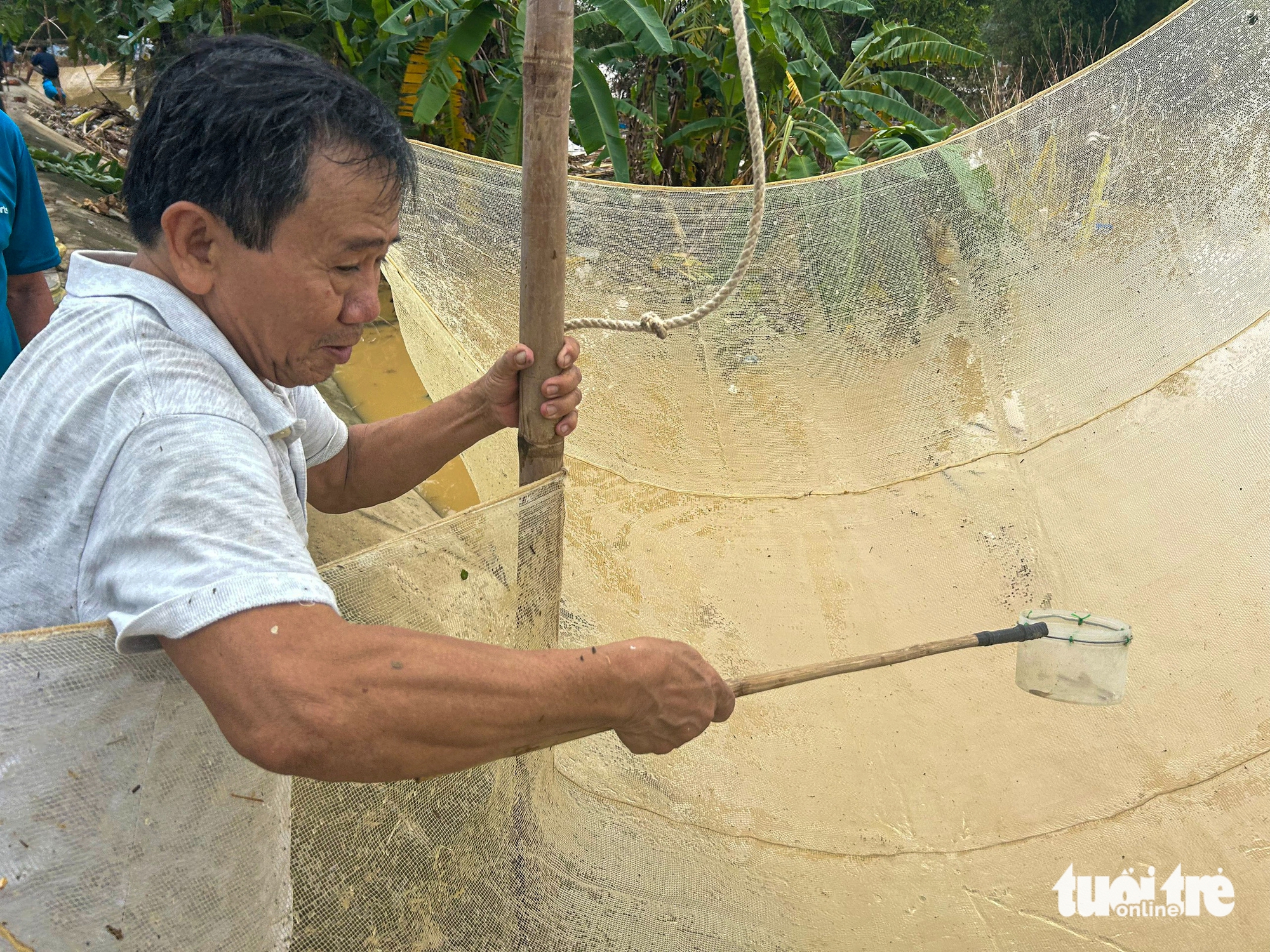 广南地区民众涌向田野拉'网'捕'群'鱼腌制姜黄