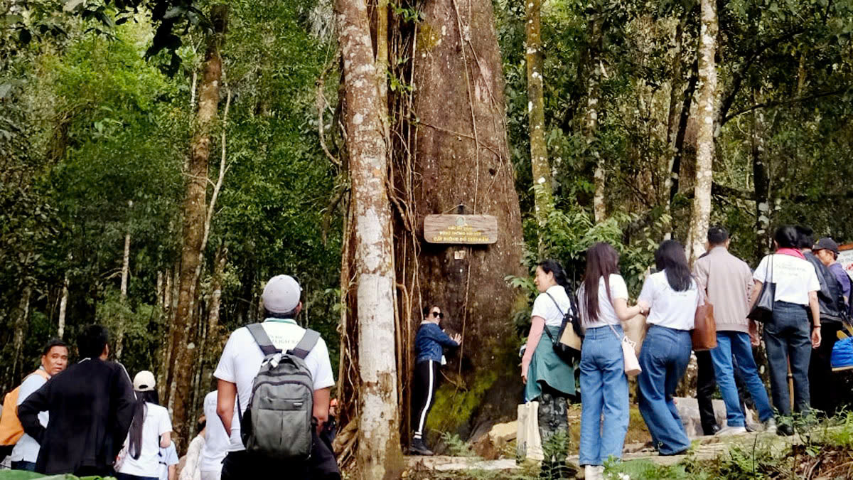 绿色旅游是越南旅游业发展的必然选择